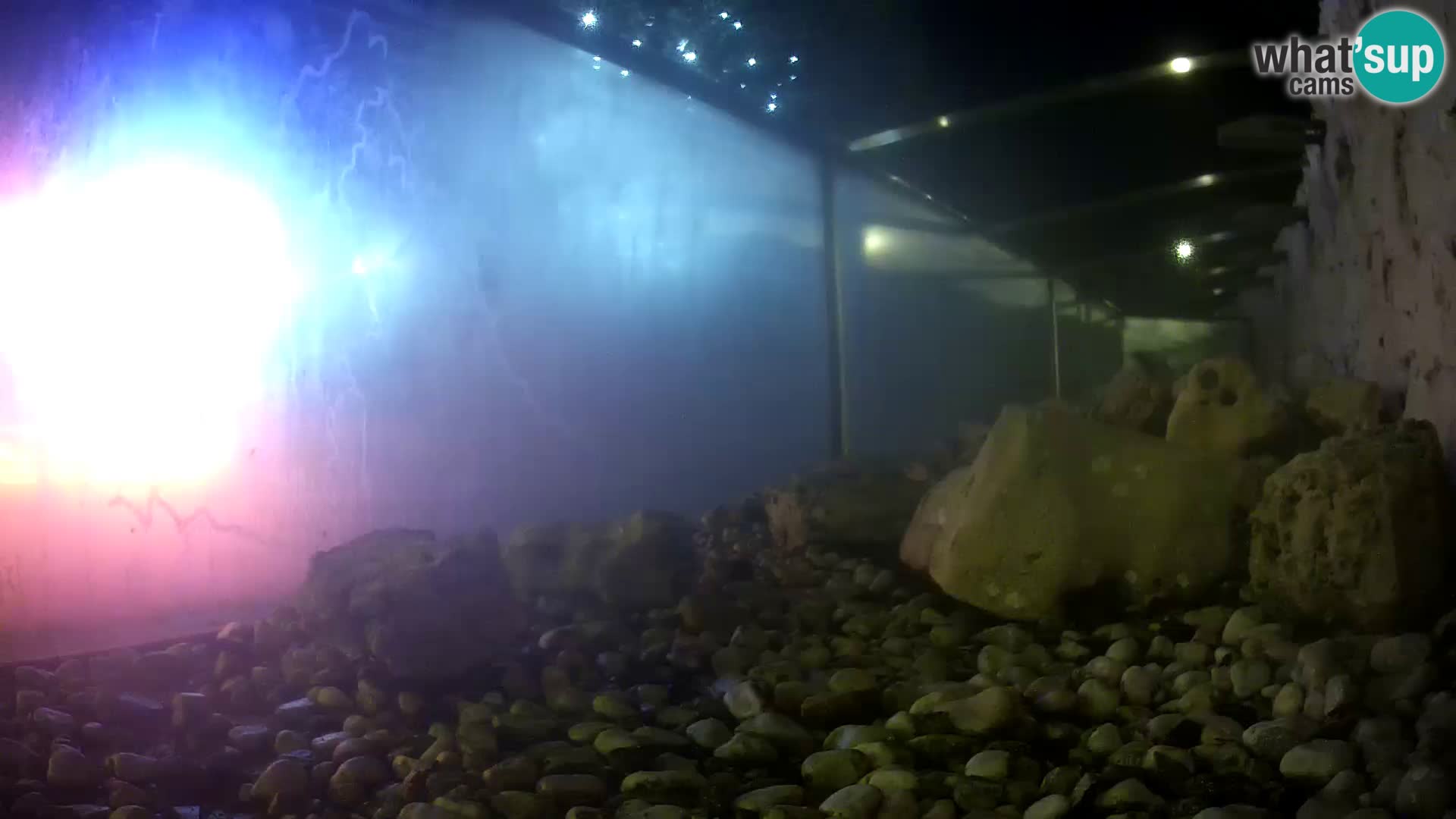 Marine Aquarium im Freien Rogoznica webcam Kroatien