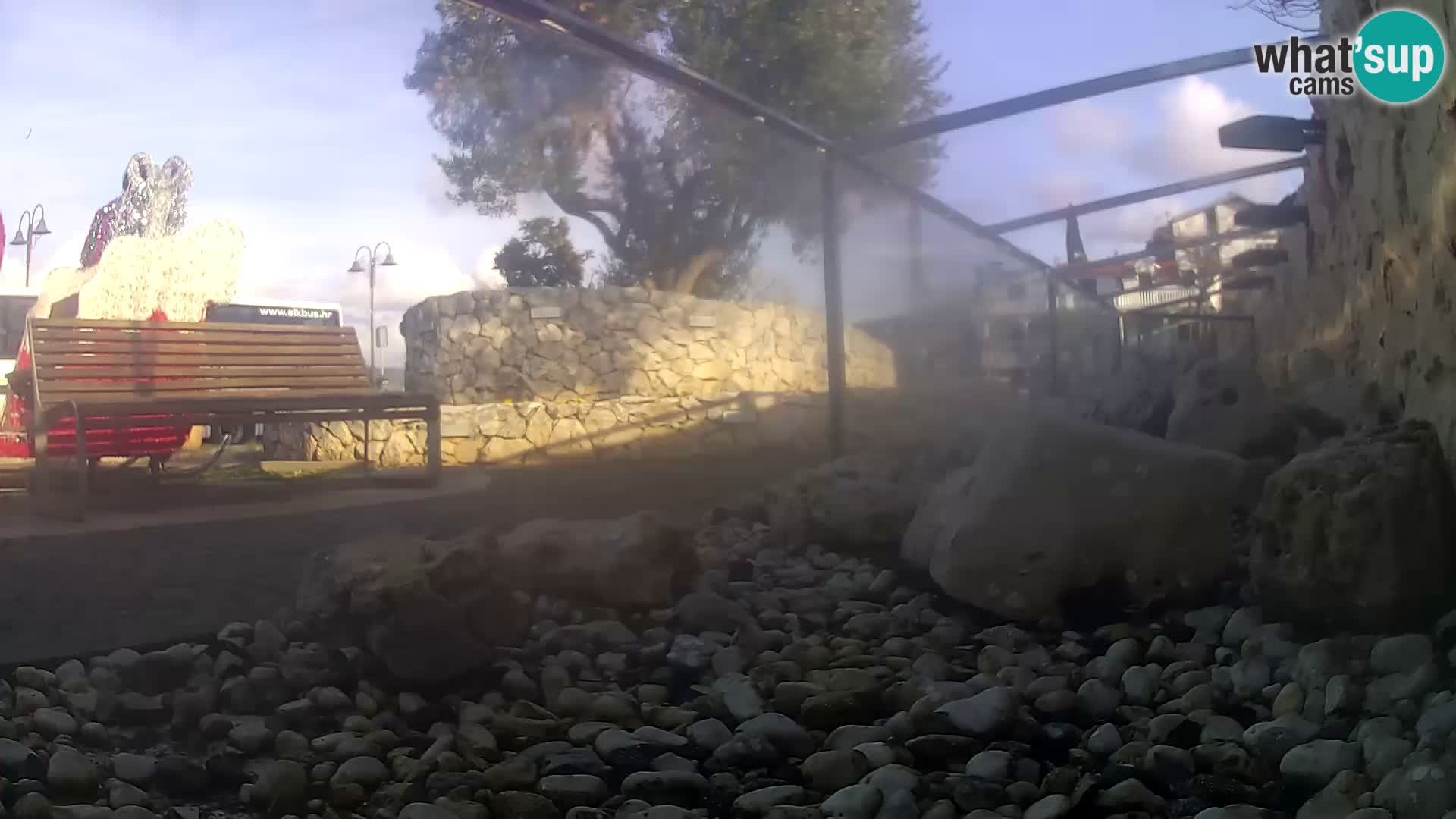 Acuario marino al aire libre Rogoznica webcam Croacia