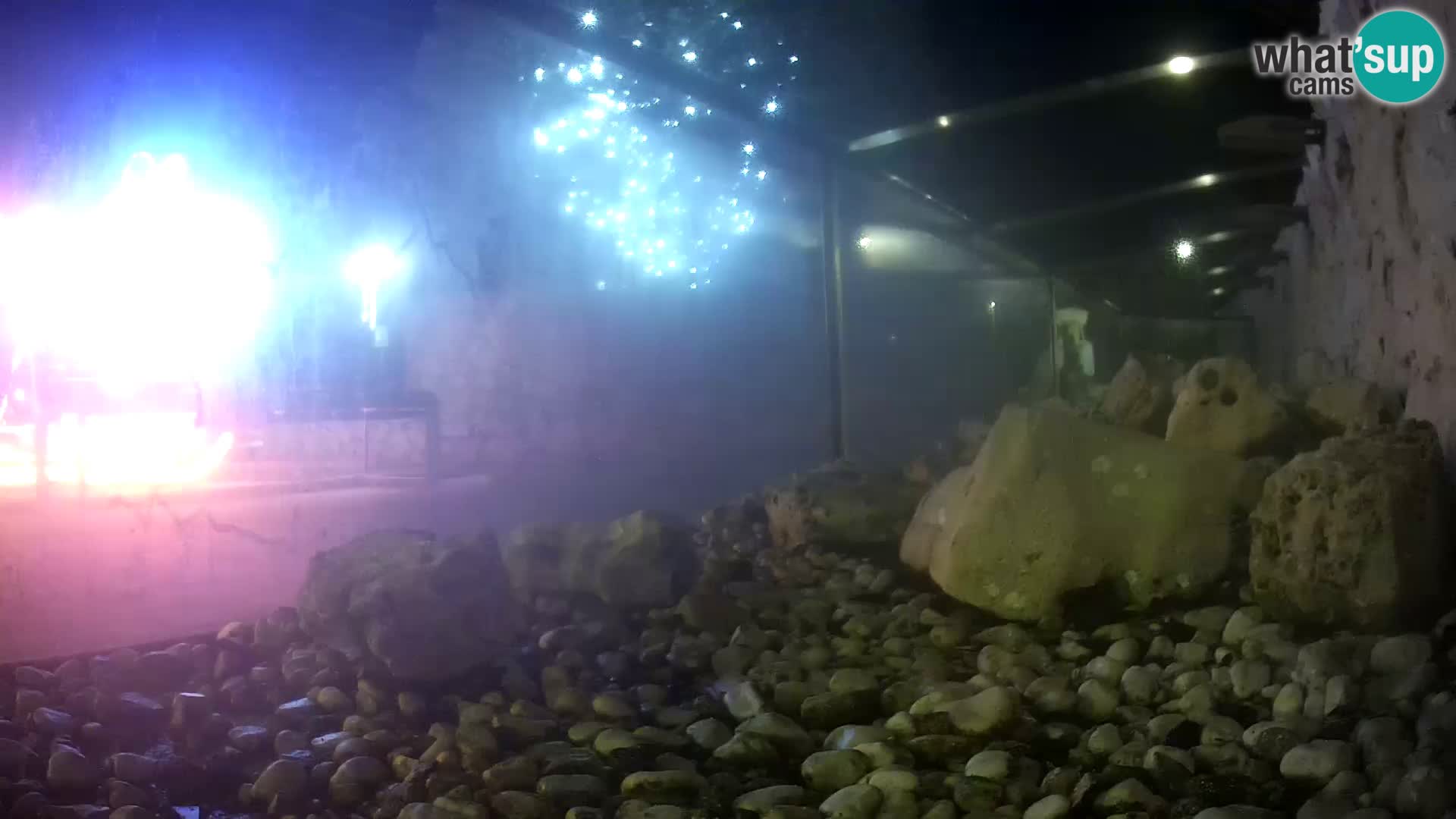 Outdoor Marine Aquarium Rogoznica webcam Croatia
