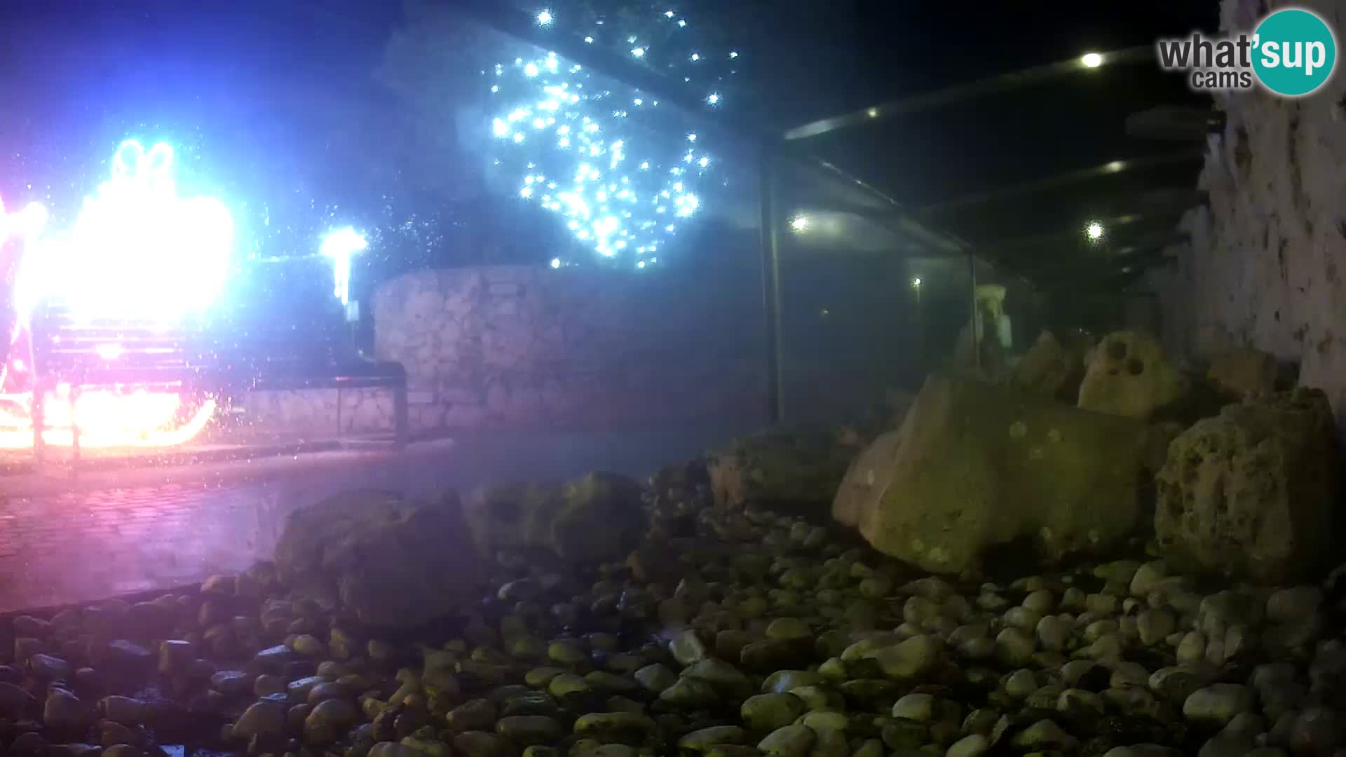 Outdoor Marine Aquarium Rogoznica webcam Croatia