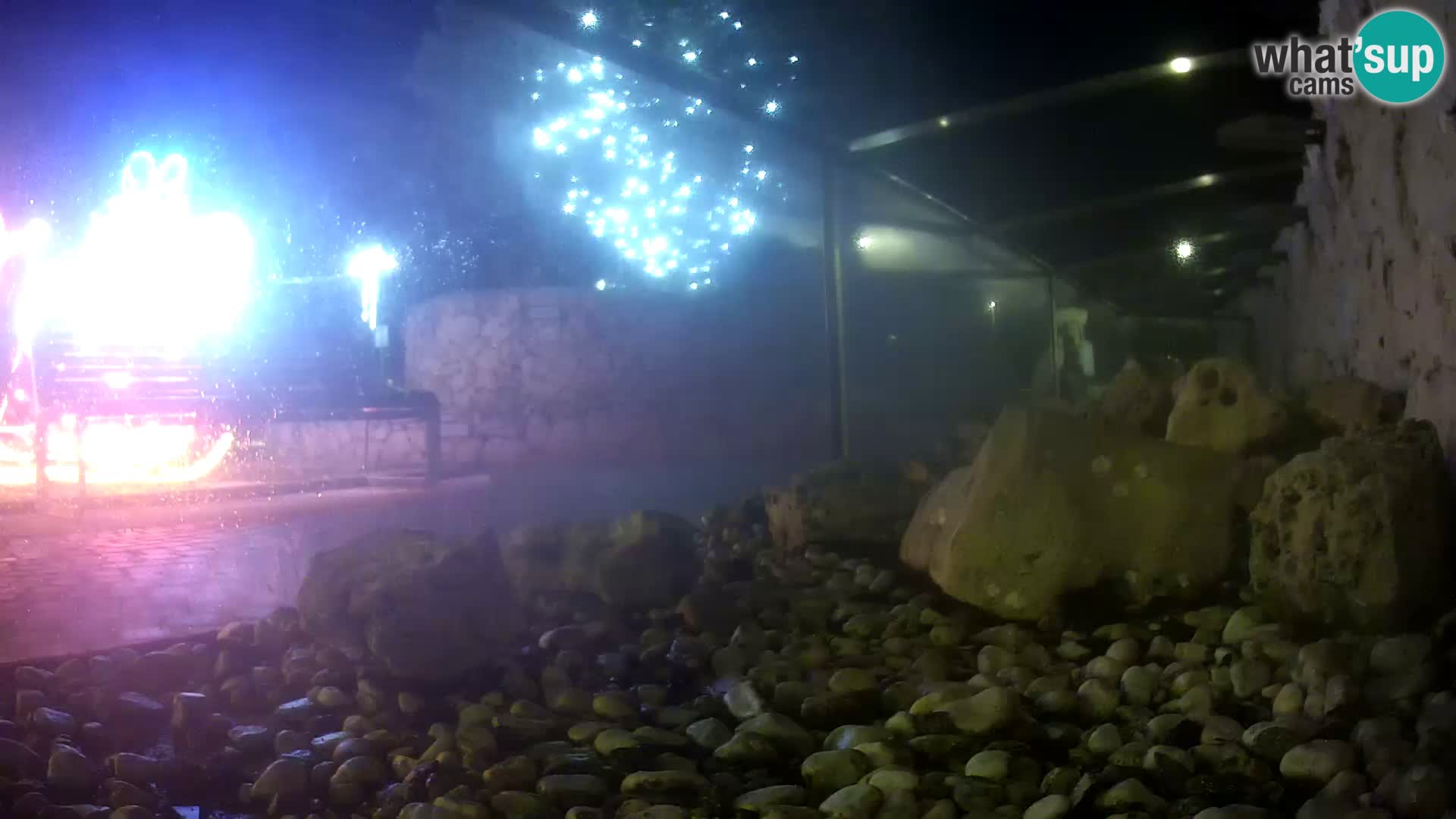Acuario marino al aire libre Rogoznica webcam Croacia