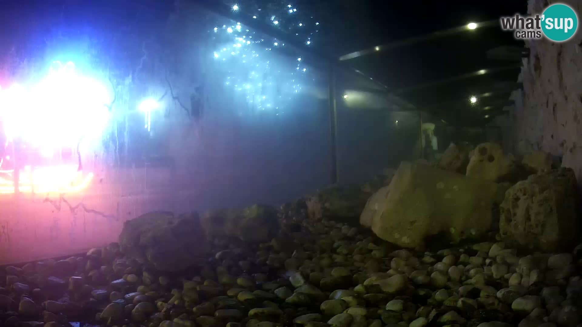 Marine Aquarium im Freien Rogoznica webcam Kroatien