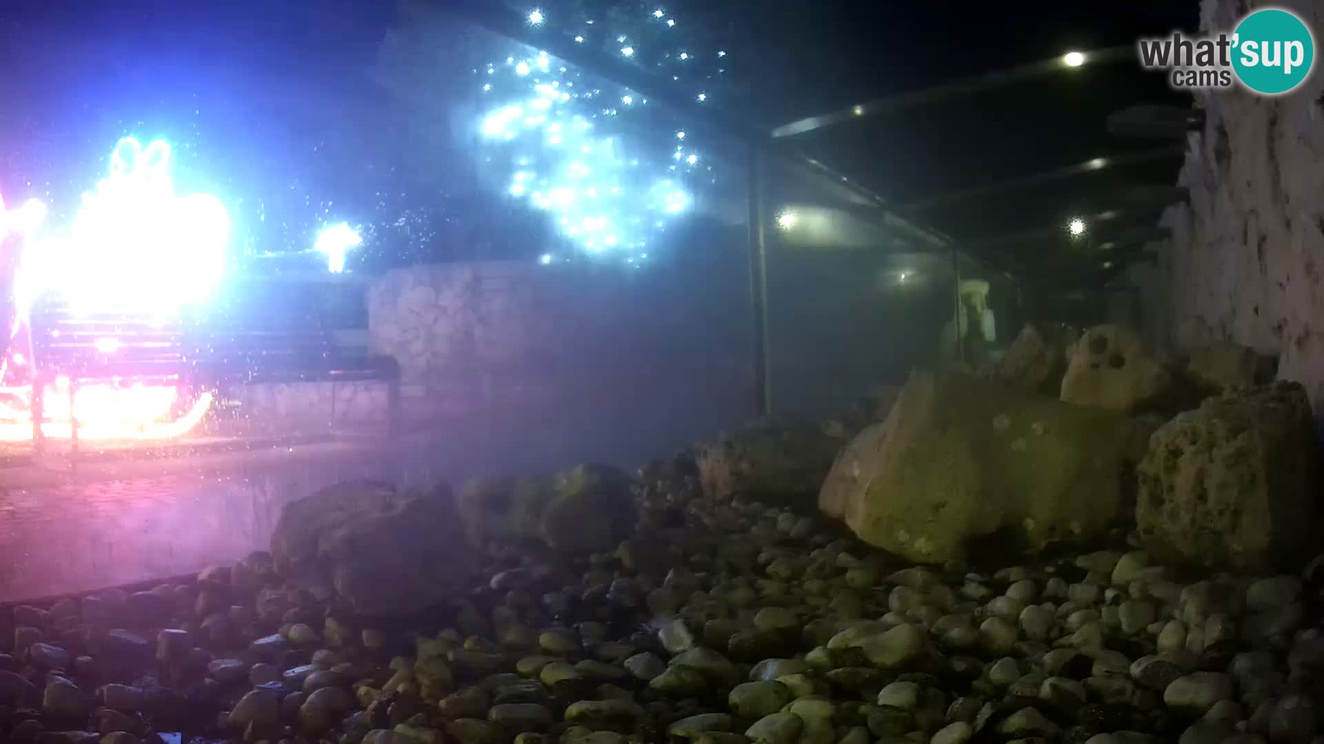 Zunanji morski akvarij Rogoznica spletna kamera Hrvaška