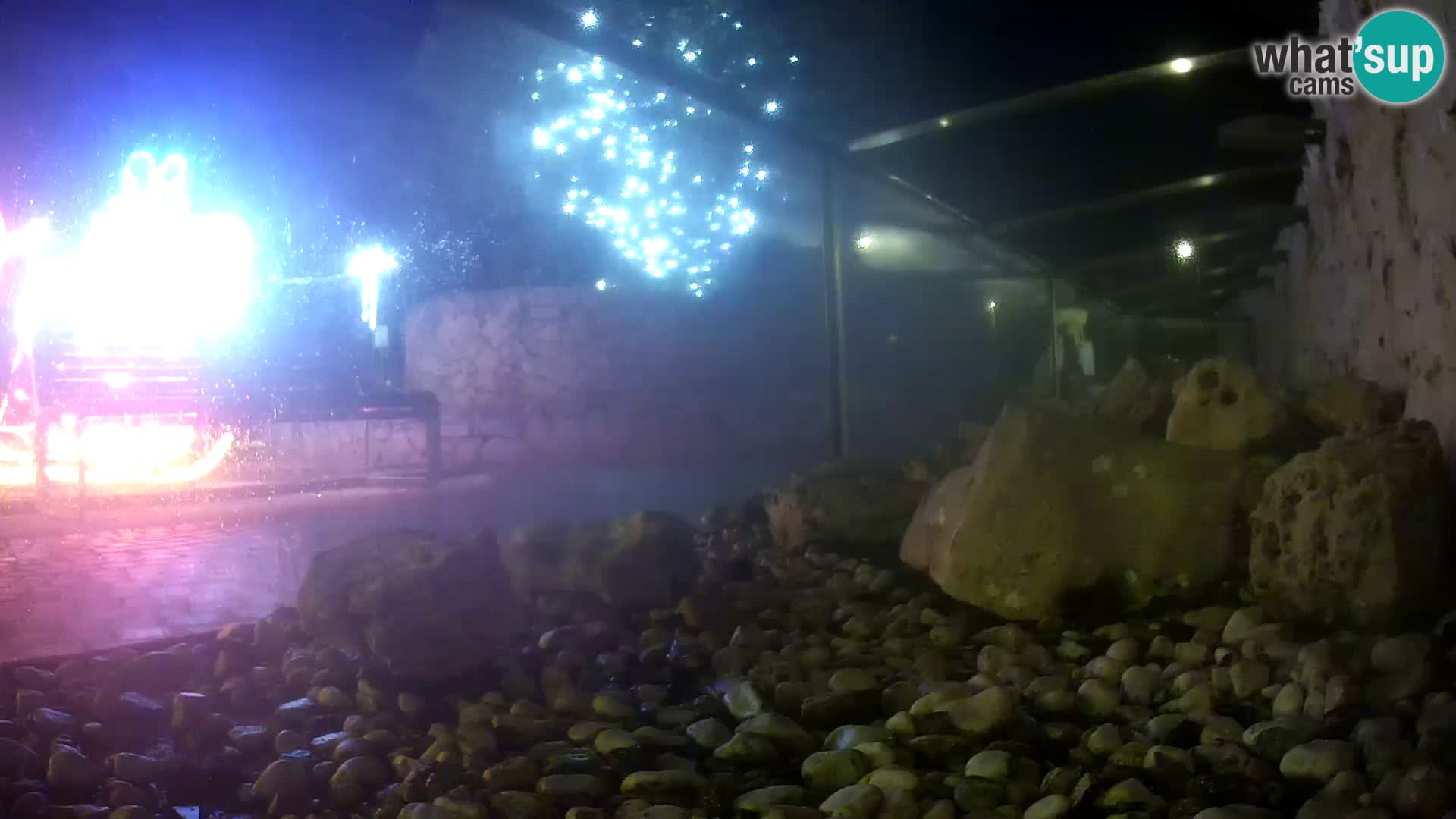 Aquario marino esterno – Rogoznica livecam Croazia