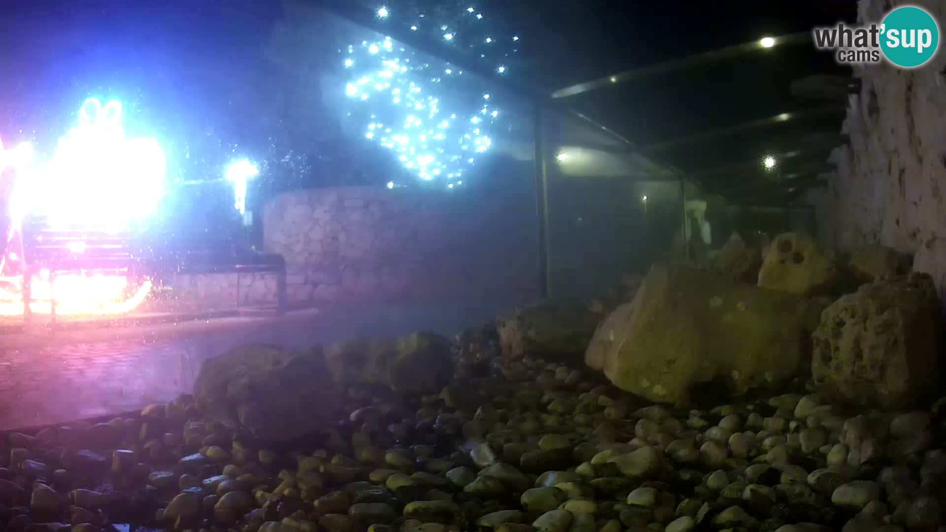 Outdoor Marine Aquarium Rogoznica webcam Croatia