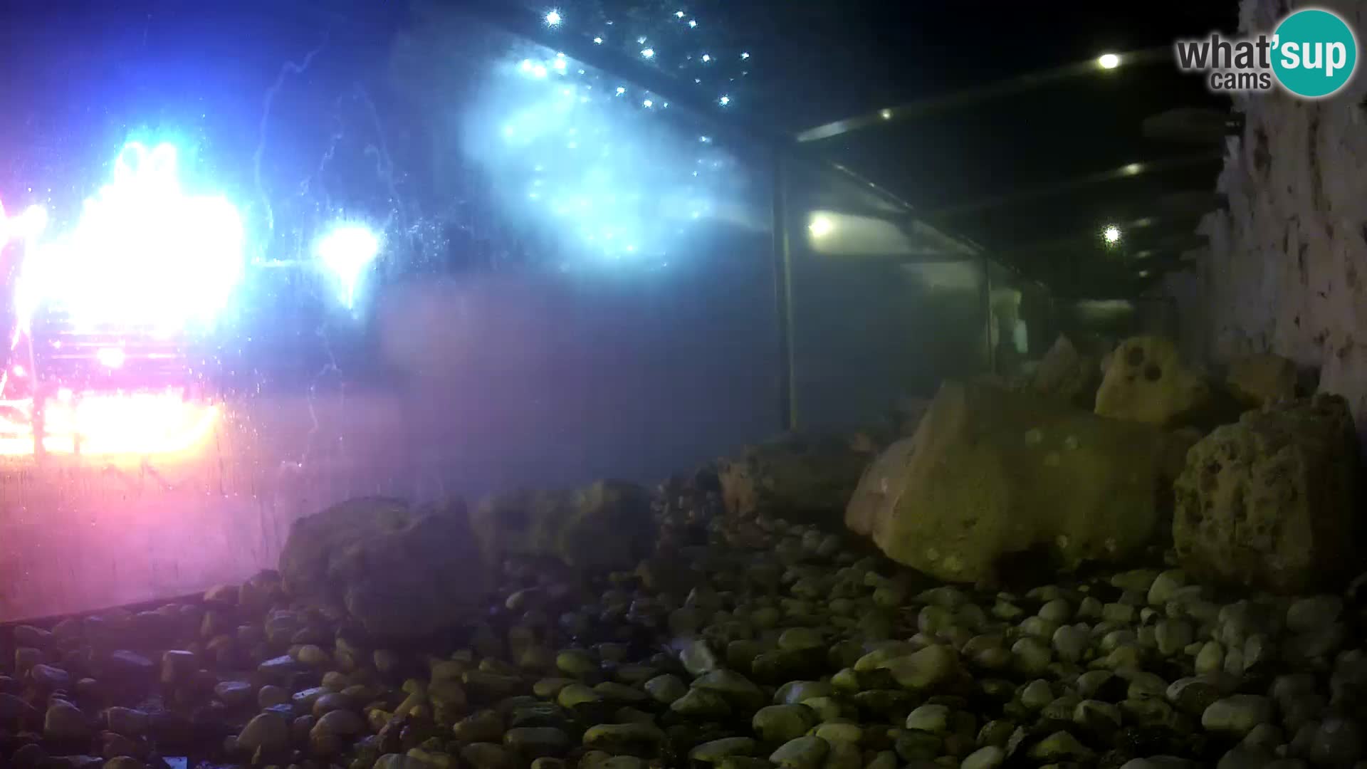 Acuario marino al aire libre Rogoznica webcam Croacia