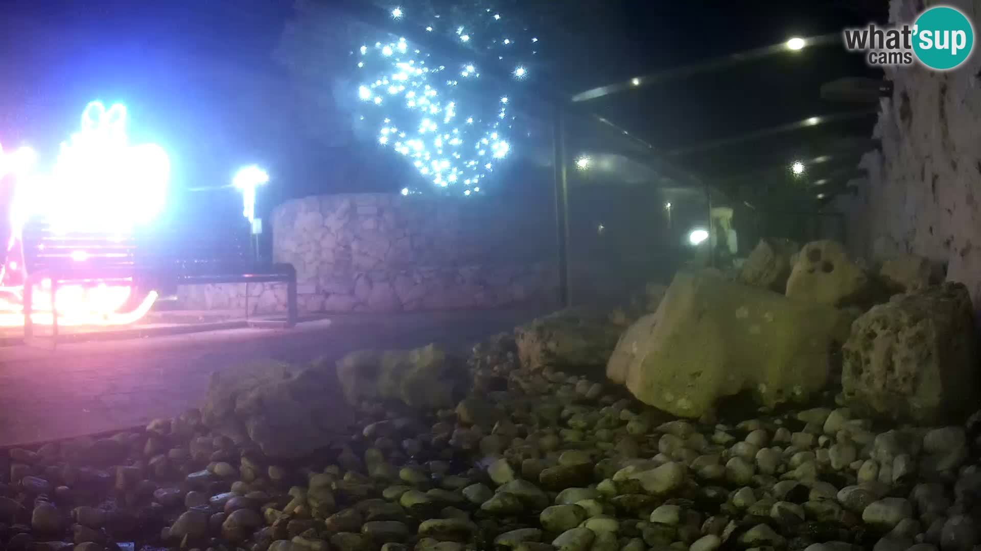 Outdoor Marine Aquarium Rogoznica webcam Croatia