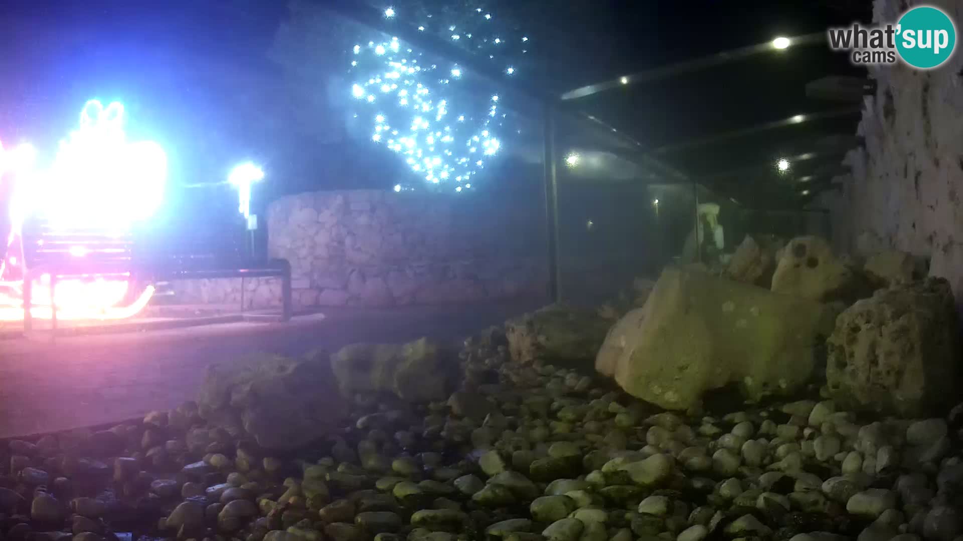 Outdoor Marine Aquarium Rogoznica webcam Croatia