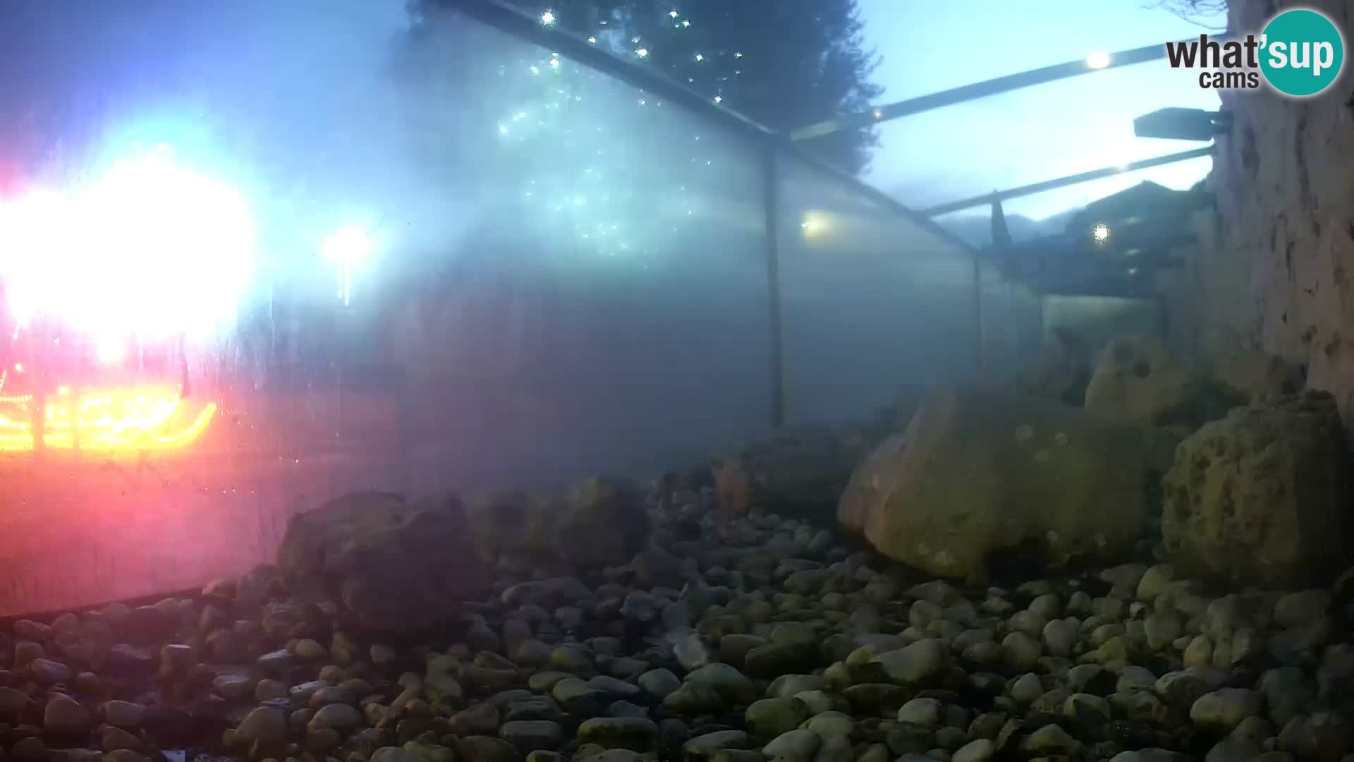 Zunanji morski akvarij Rogoznica spletna kamera Hrvaška