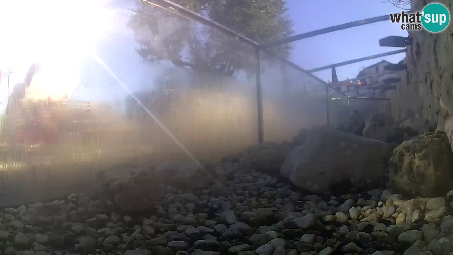 Acuario marino al aire libre Rogoznica webcam Croacia