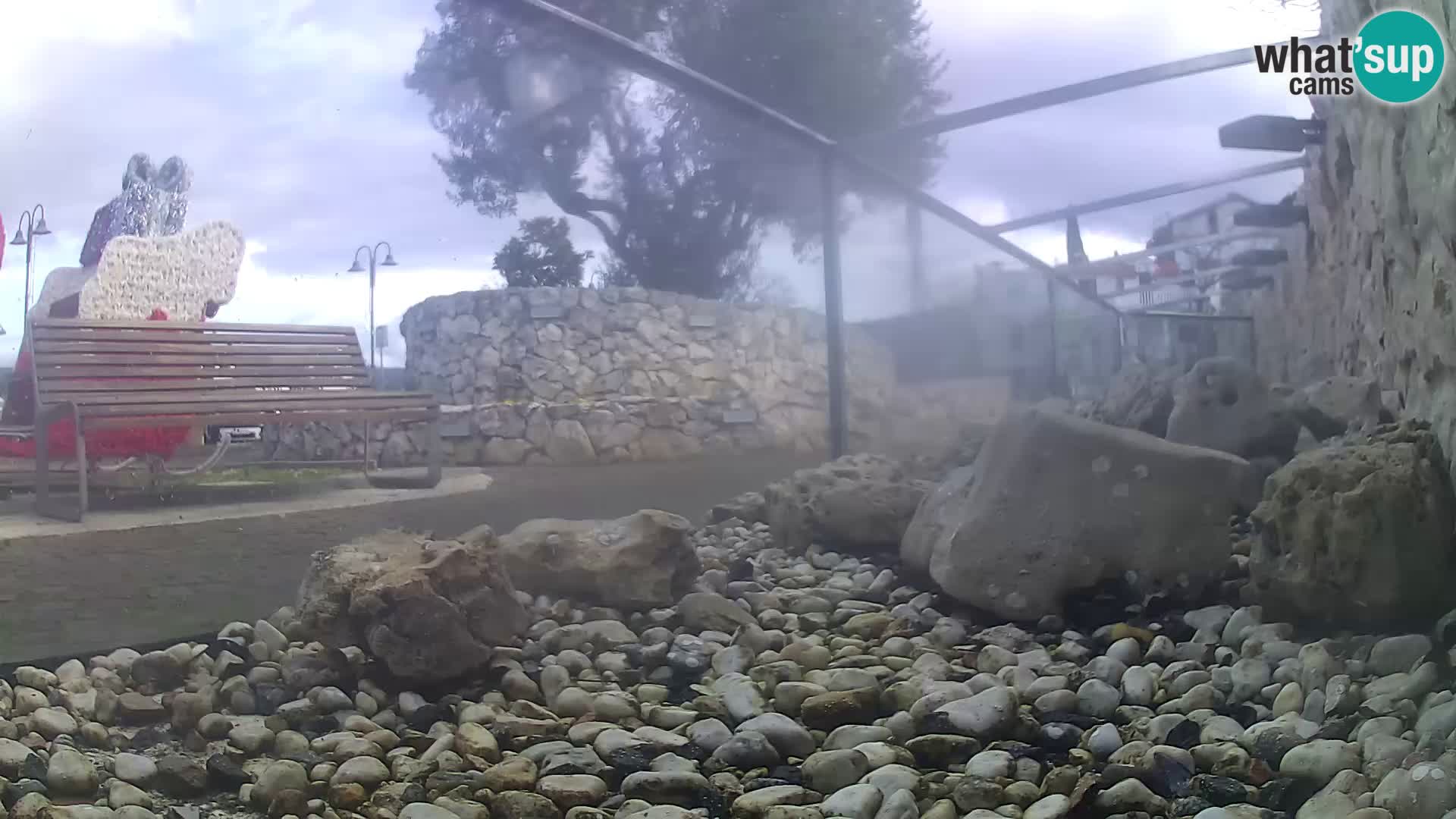 Outdoor Marine Aquarium Rogoznica webcam Croatia