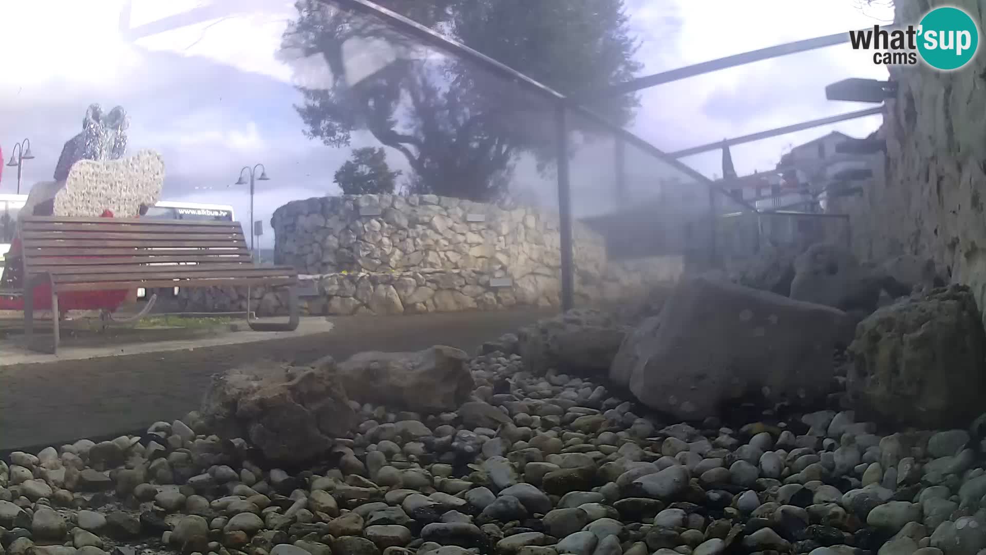 Acuario marino al aire libre Rogoznica webcam Croacia