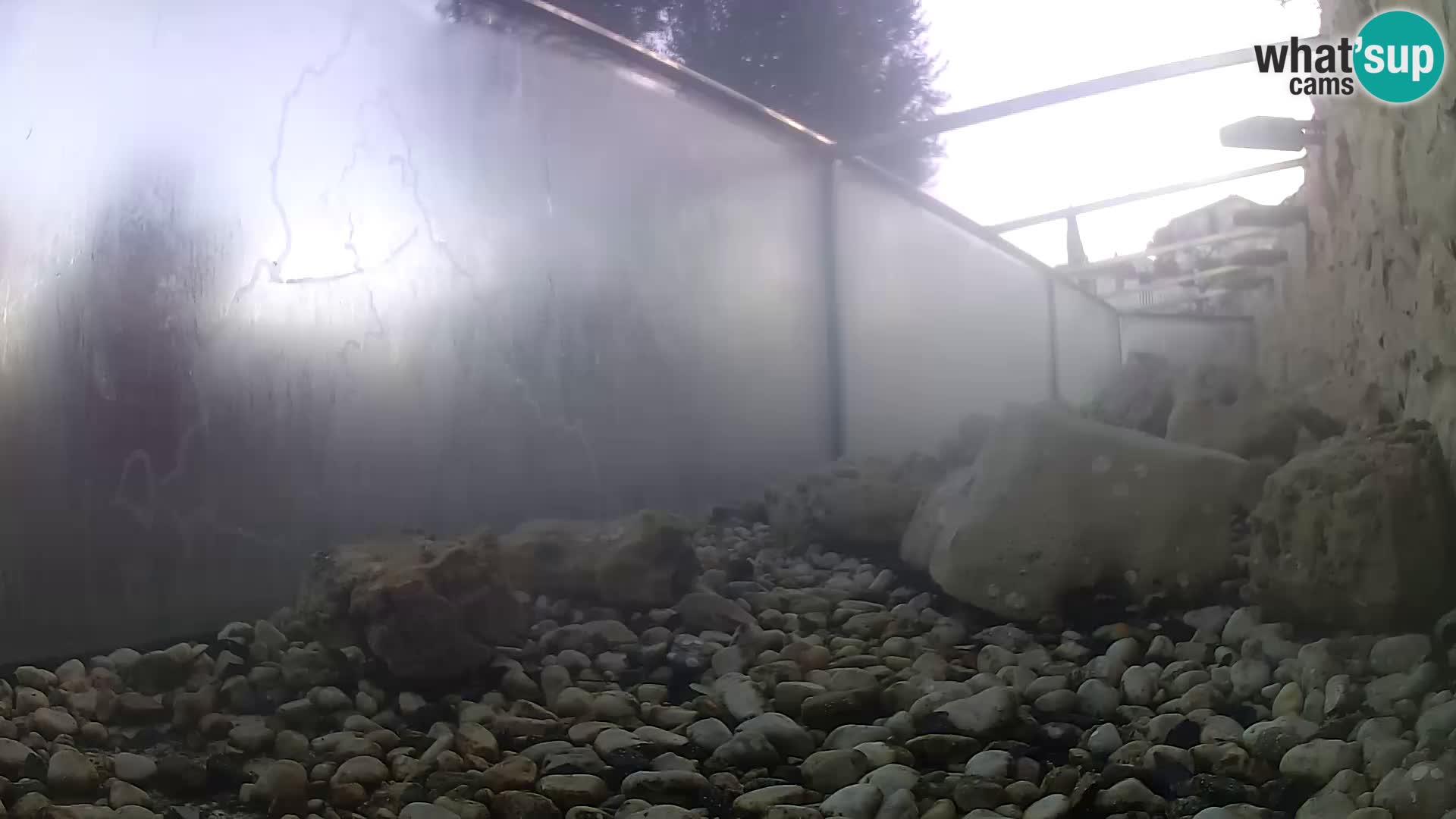 Zunanji morski akvarij Rogoznica spletna kamera Hrvaška