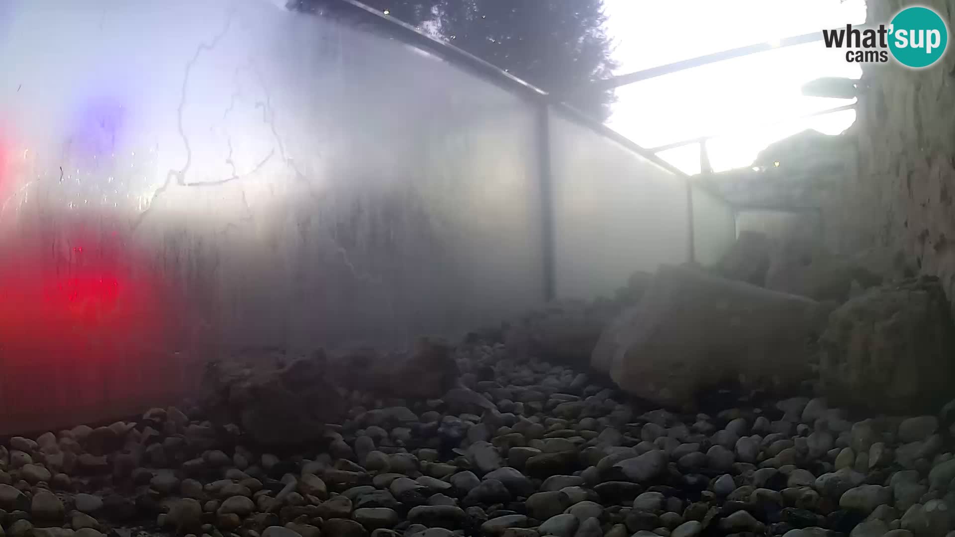 Vanjski morski akvarij Rogoznica web kamera Hrvatska