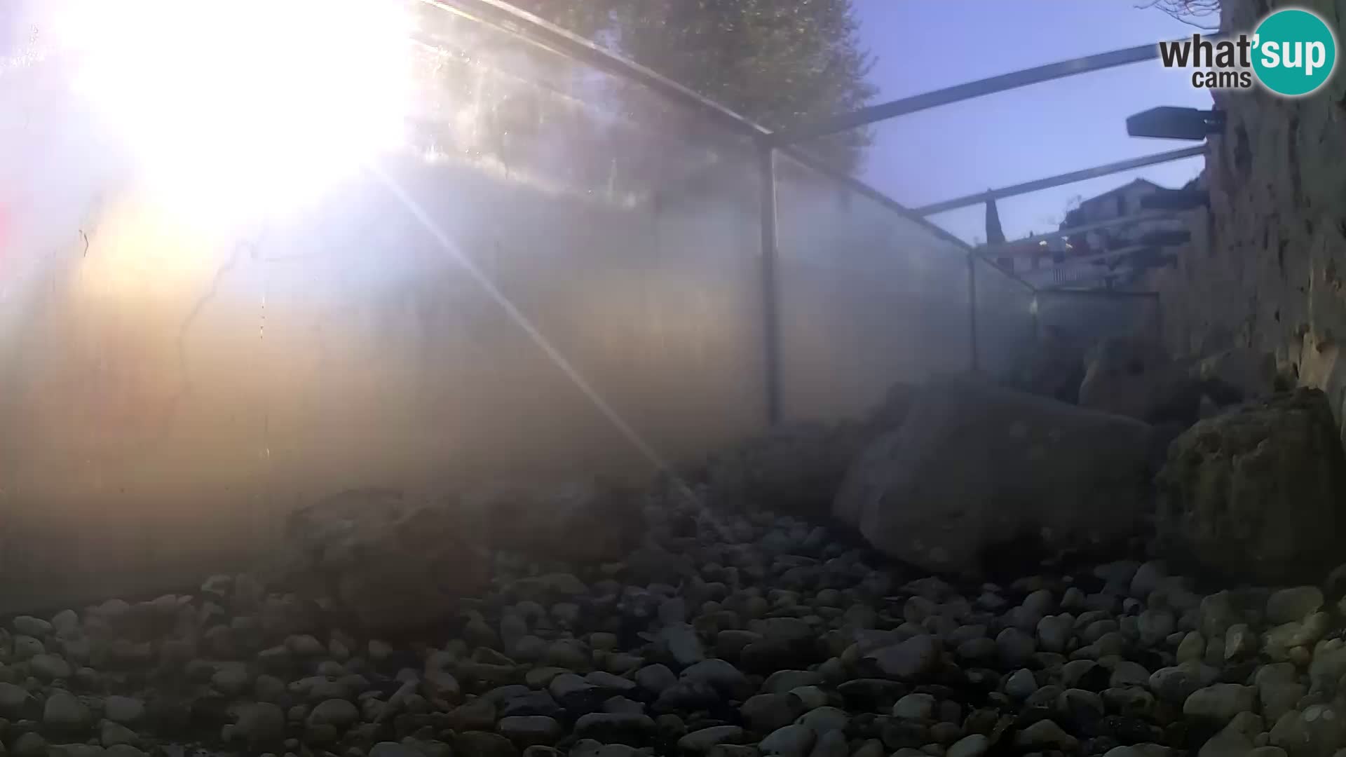 Acuario marino al aire libre Rogoznica webcam Croacia