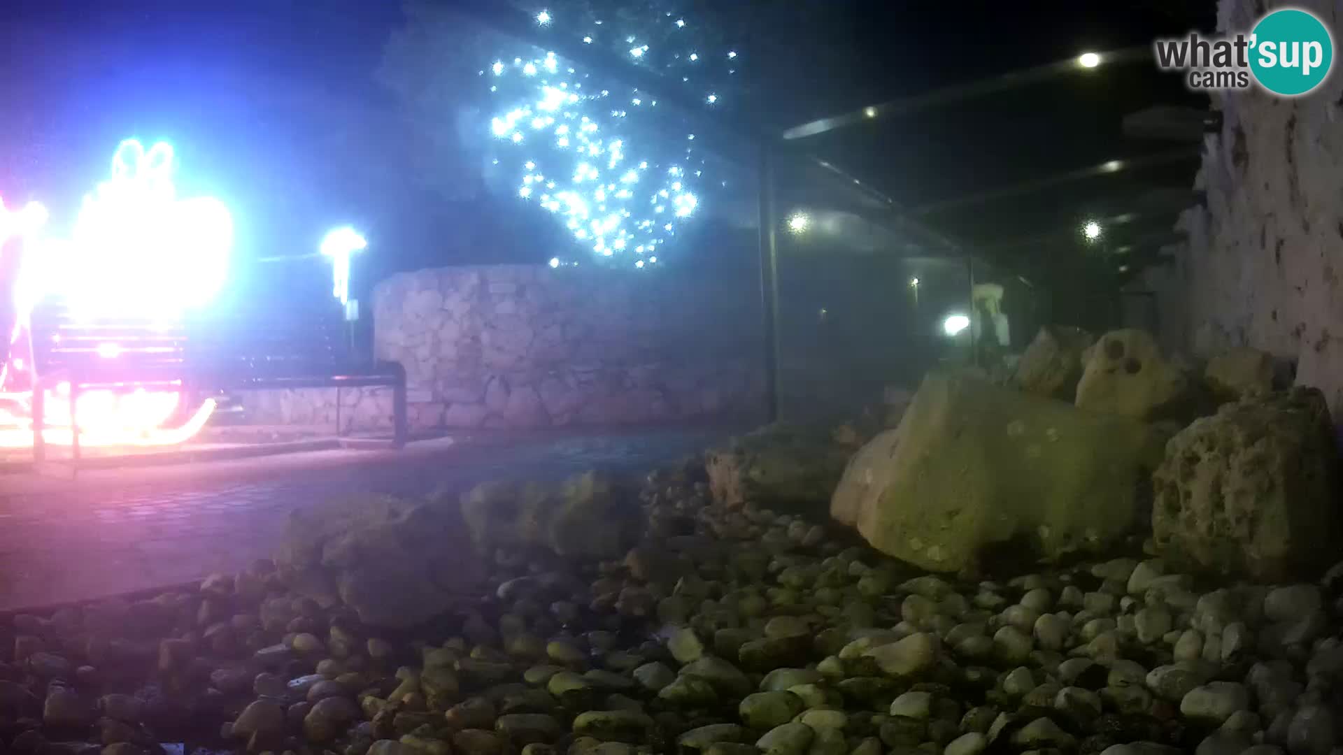 Outdoor Marine Aquarium Rogoznica webcam Croatia