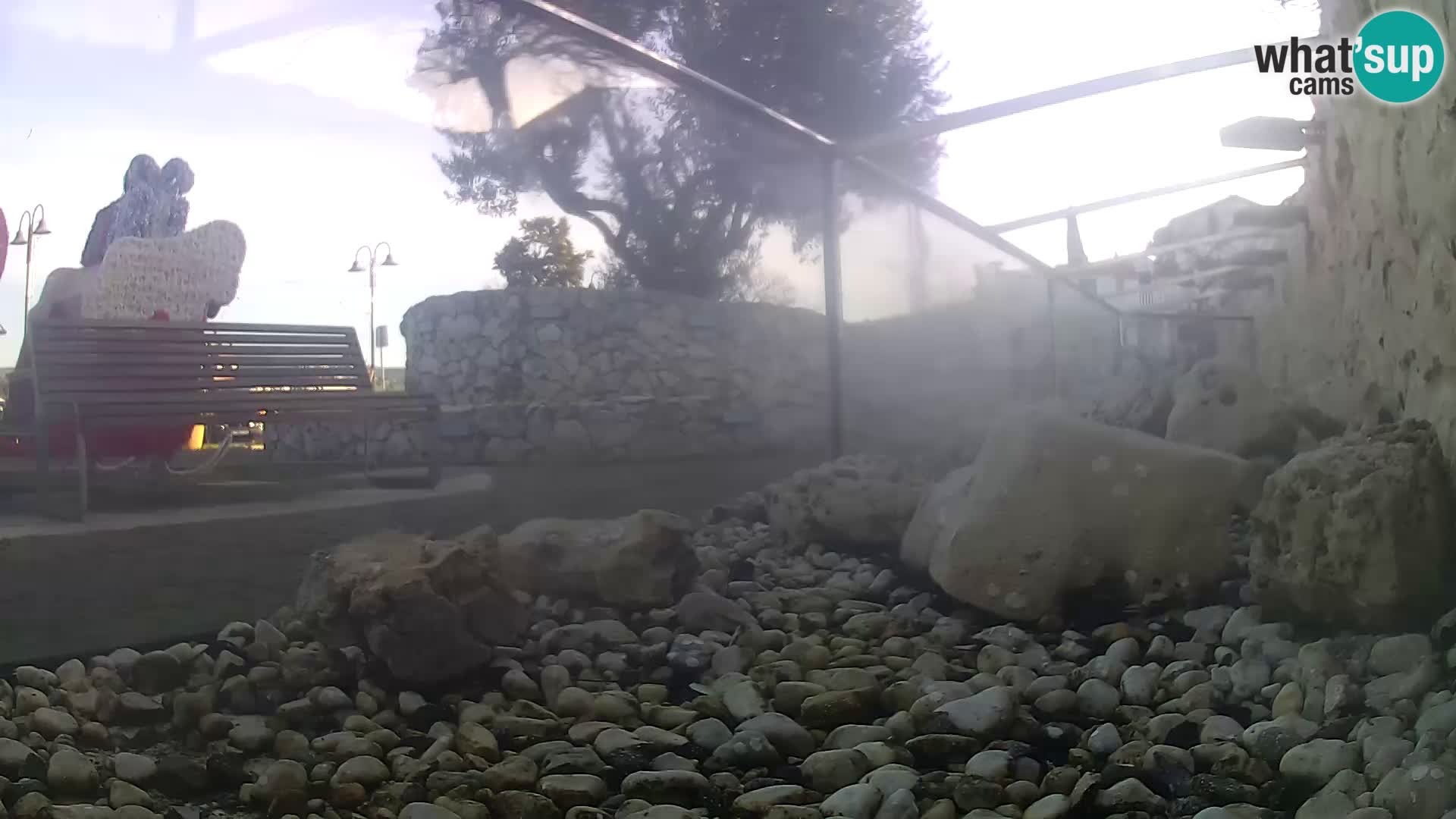 Acuario marino al aire libre Rogoznica webcam Croacia