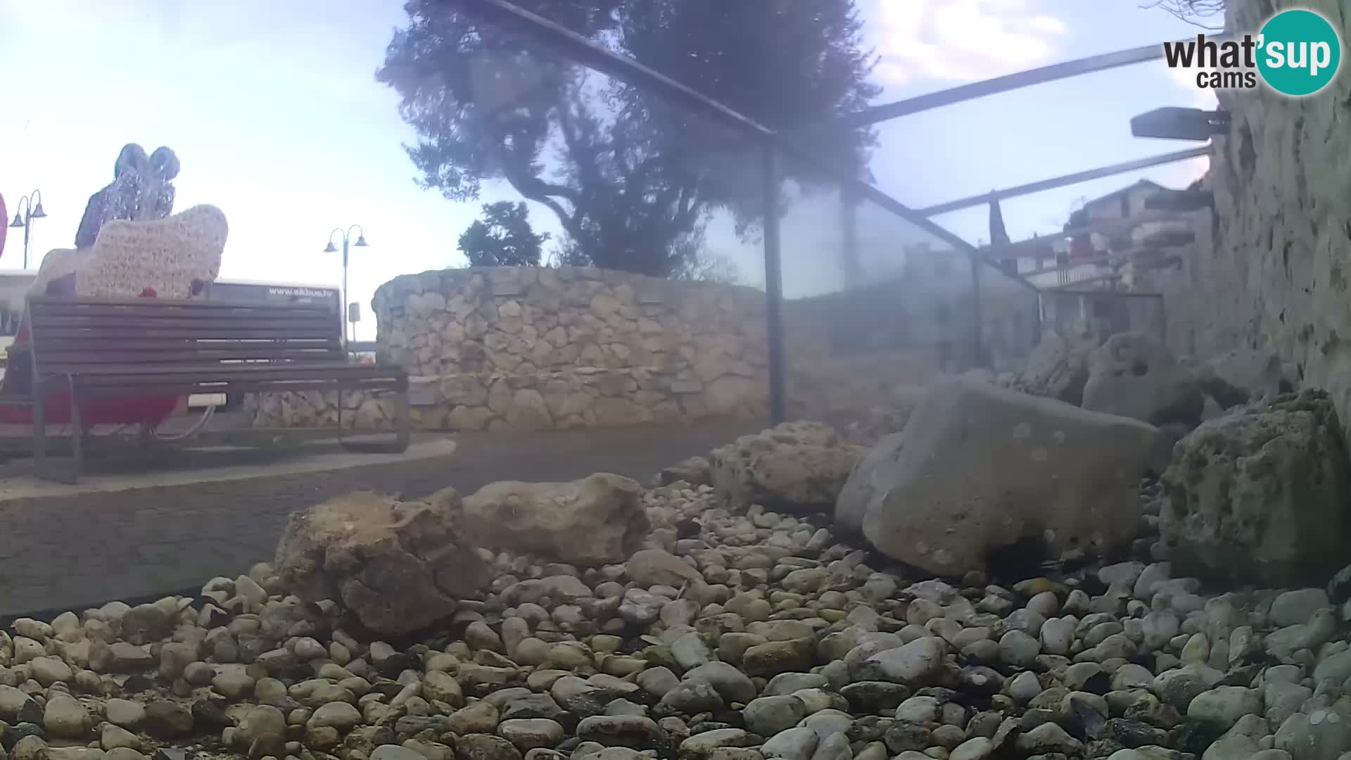 Vanjski morski akvarij Rogoznica web kamera Hrvatska