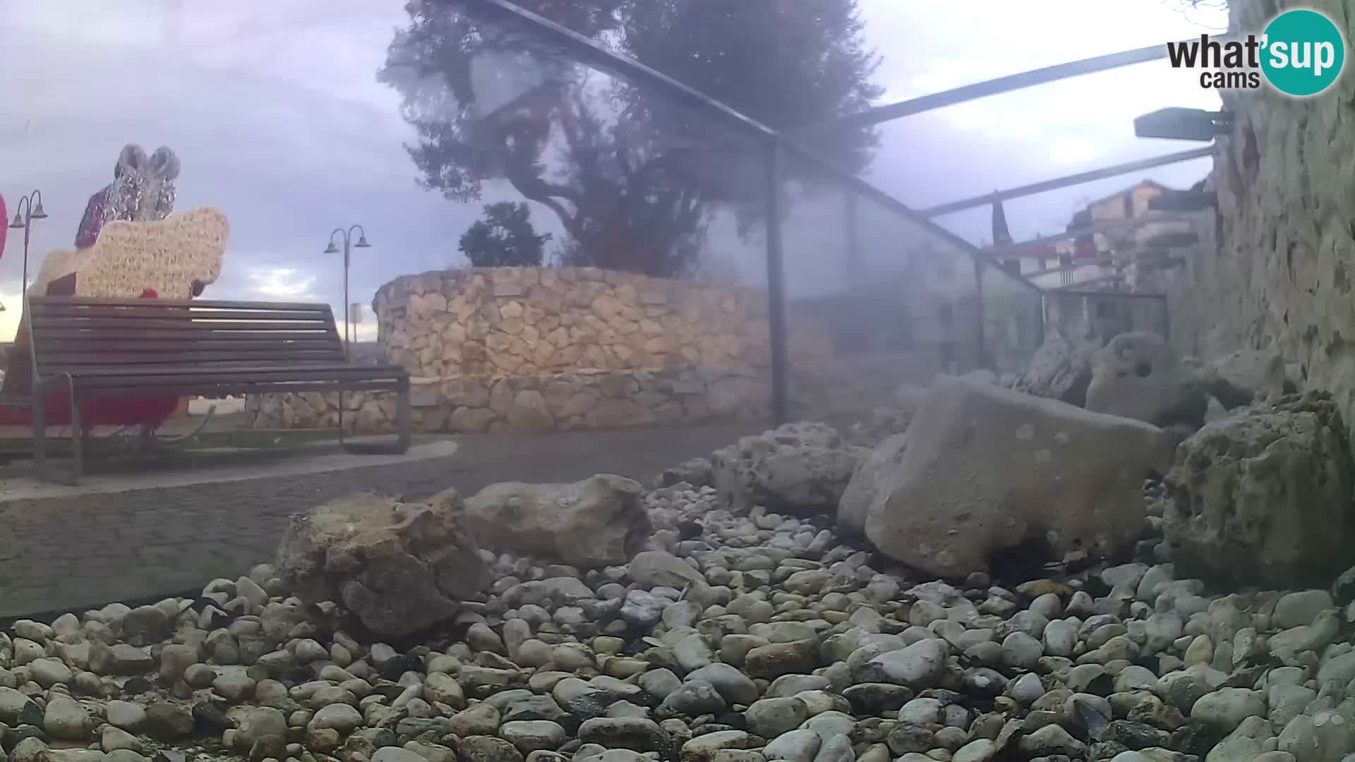 Vanjski morski akvarij Rogoznica web kamera Hrvatska