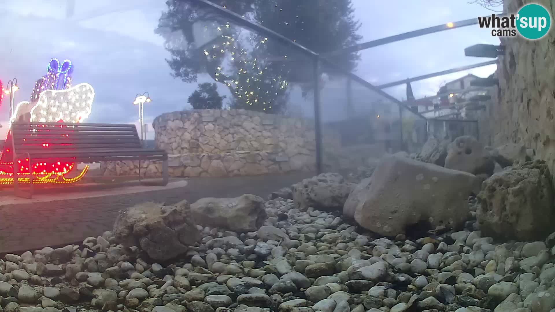 Zunanji morski akvarij Rogoznica spletna kamera Hrvaška