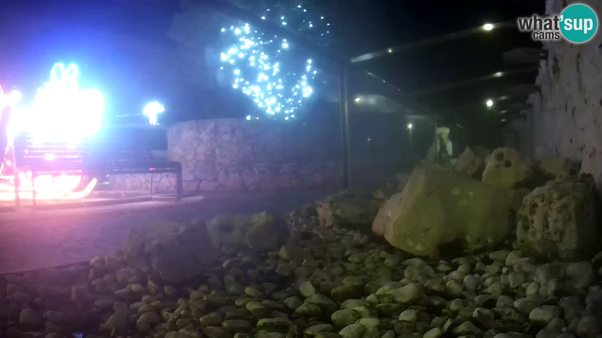 Outdoor Marine Aquarium Rogoznica webcam Croatia