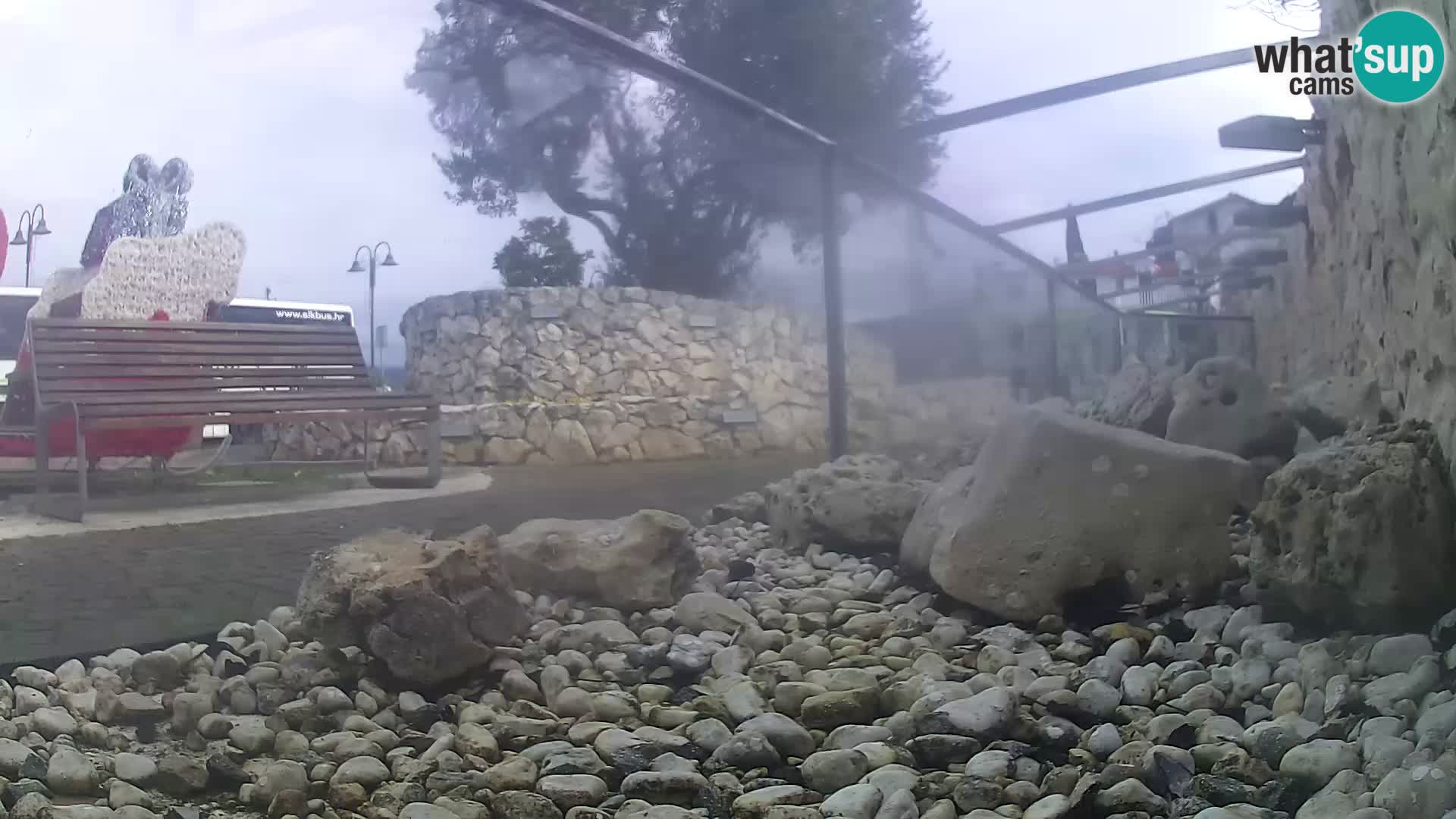 Outdoor Marine Aquarium Rogoznica webcam Croatia