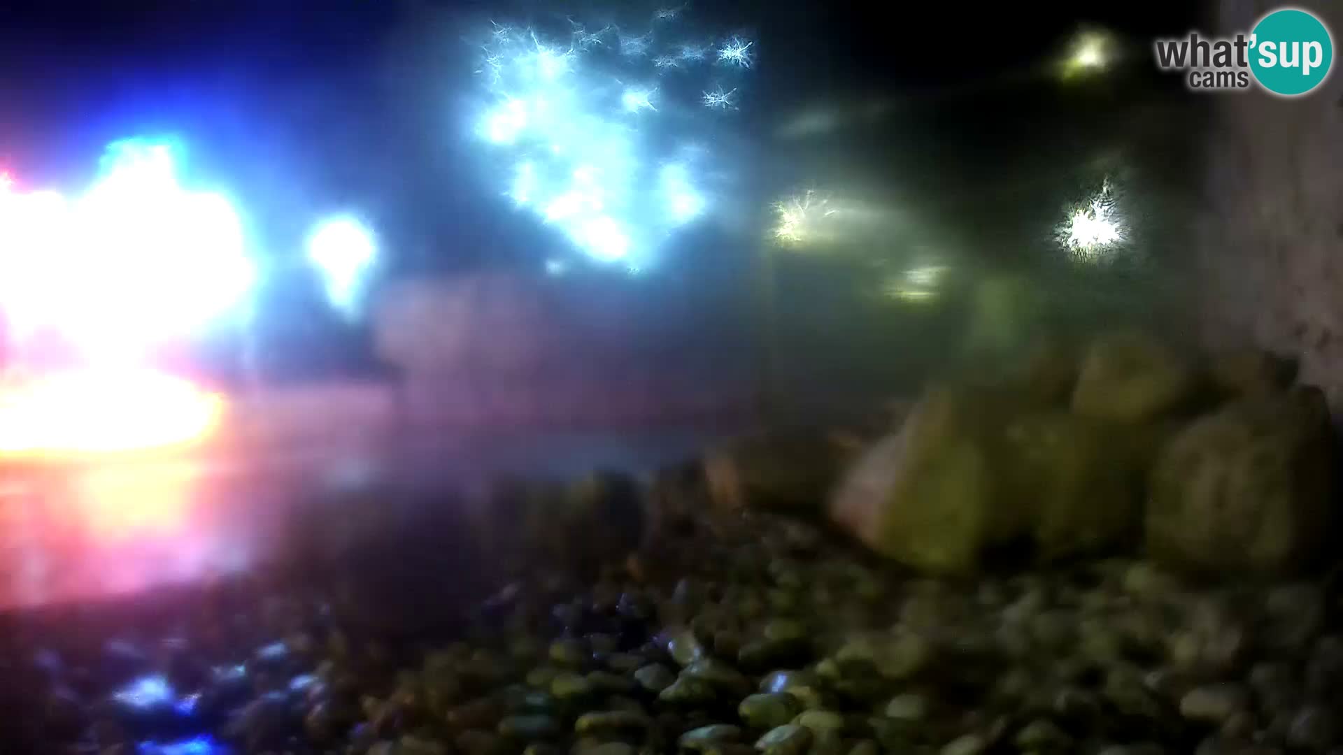 Acuario marino al aire libre Rogoznica webcam Croacia