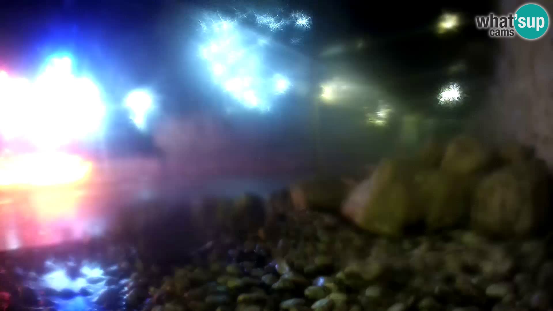 Marine Aquarium im Freien Rogoznica webcam Kroatien