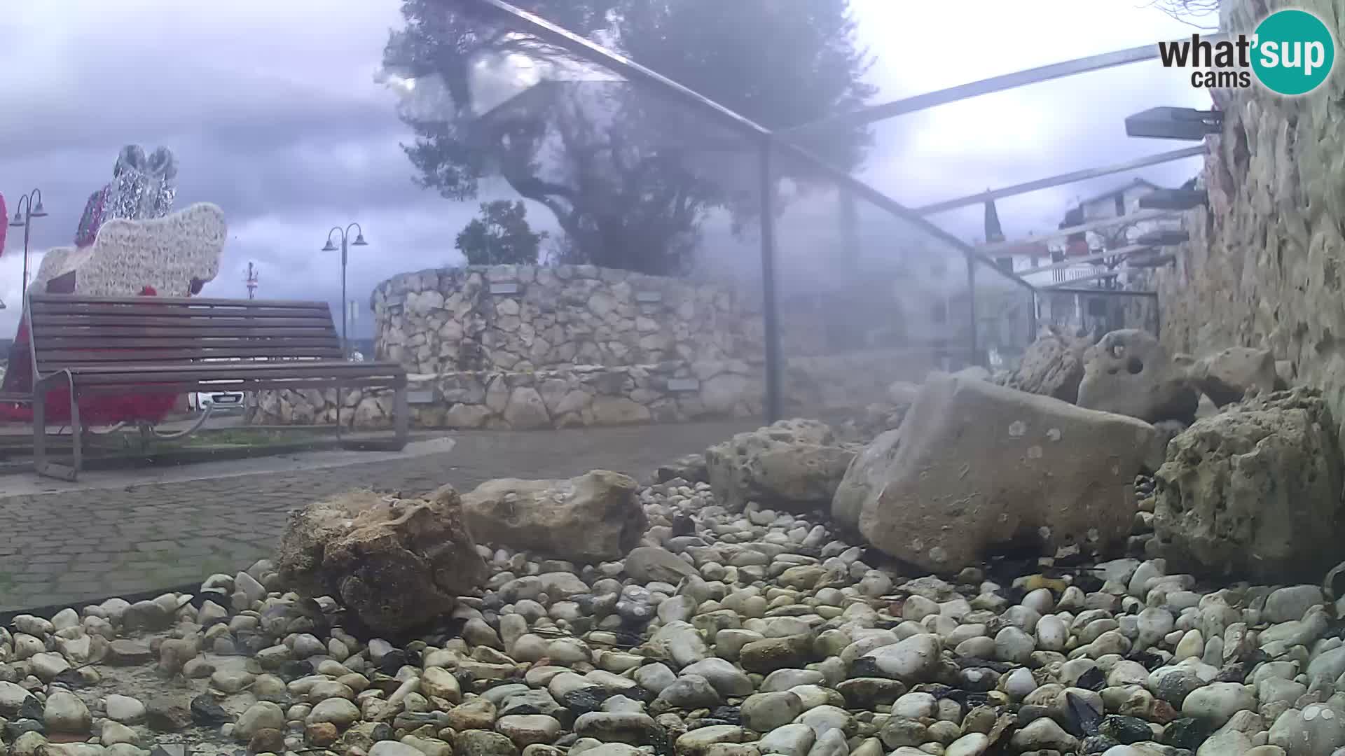 Outdoor Marine Aquarium Rogoznica webcam Croatia
