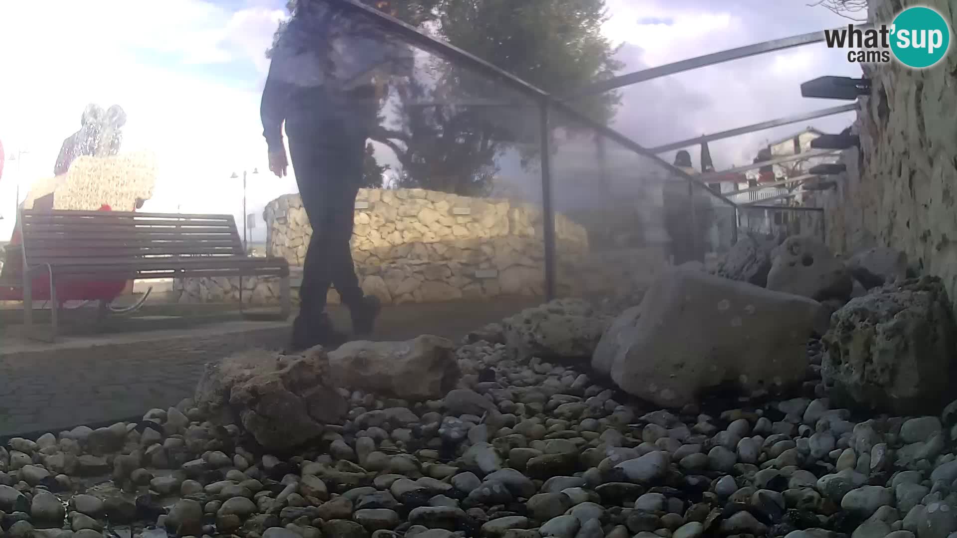 Zunanji morski akvarij Rogoznica spletna kamera Hrvaška