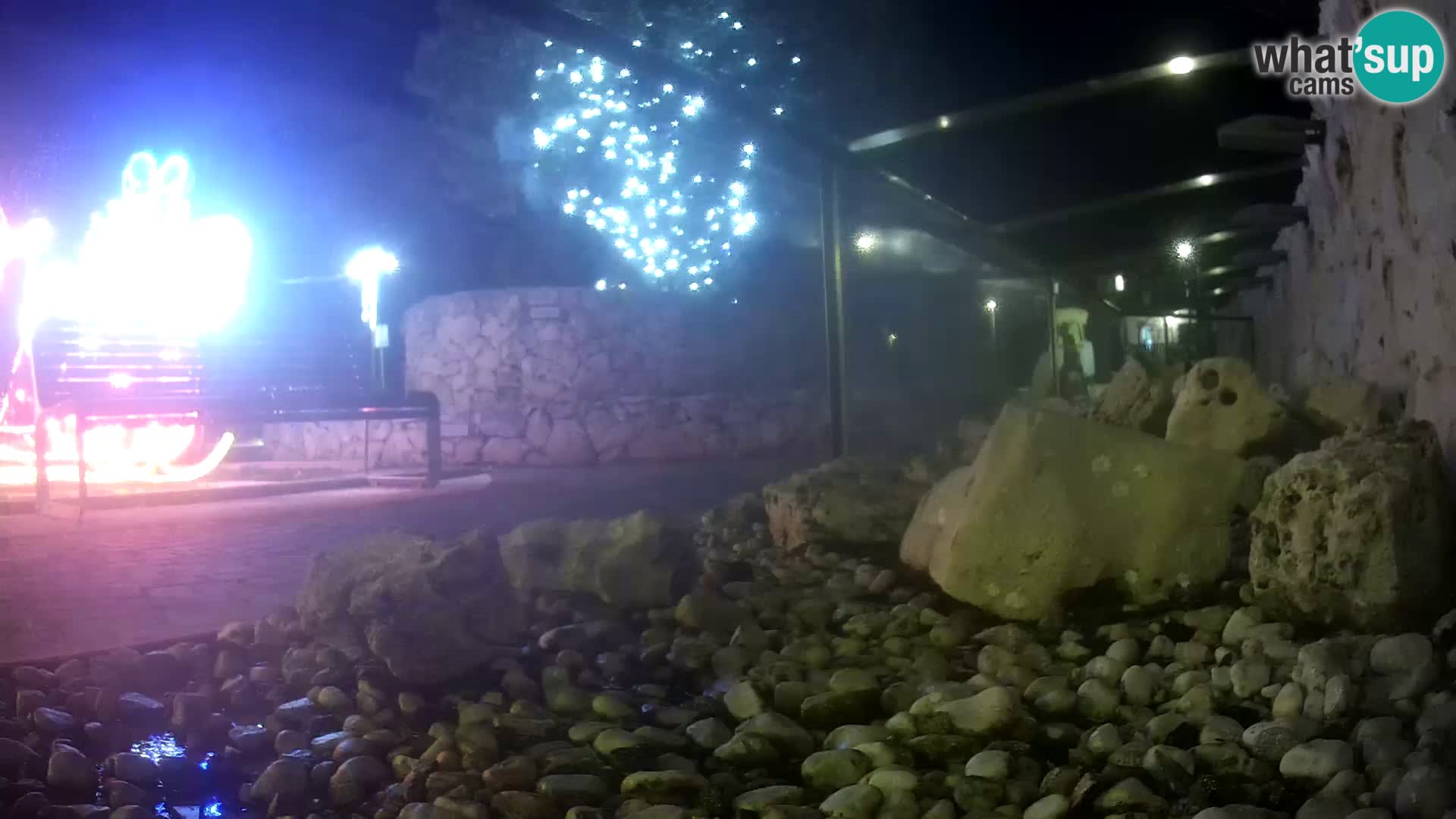 Zunanji morski akvarij Rogoznica spletna kamera Hrvaška