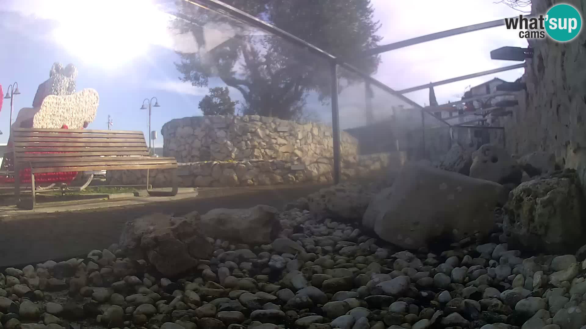 Marine Aquarium im Freien Rogoznica webcam Kroatien