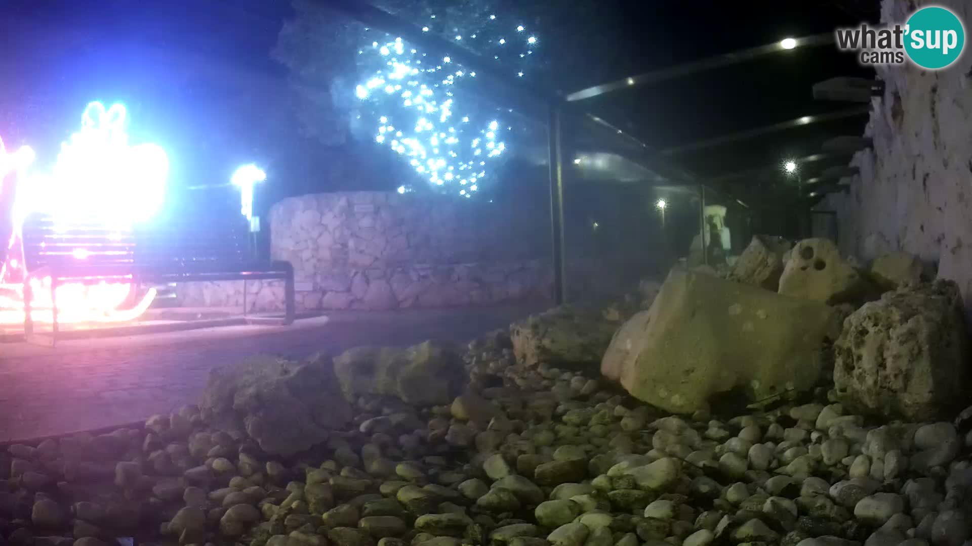 Outdoor Marine Aquarium Rogoznica webcam Croatia