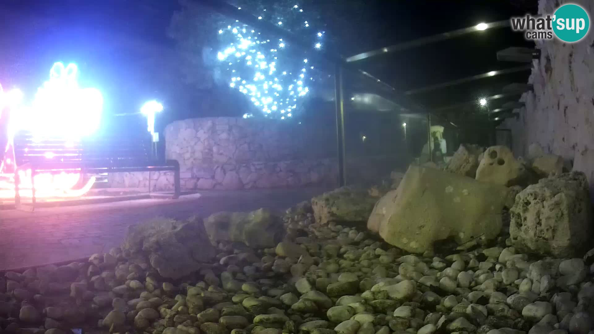 Aquario marino esterno –  Rogoznica livecam Croazia