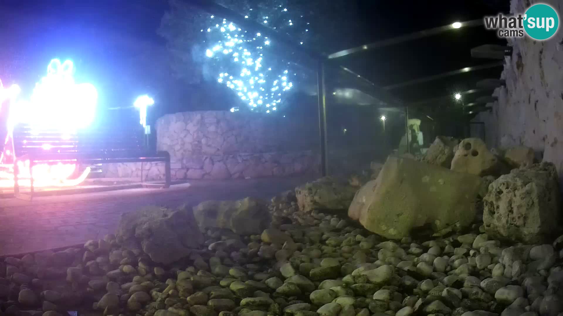 Outdoor Marine Aquarium Rogoznica webcam Croatia
