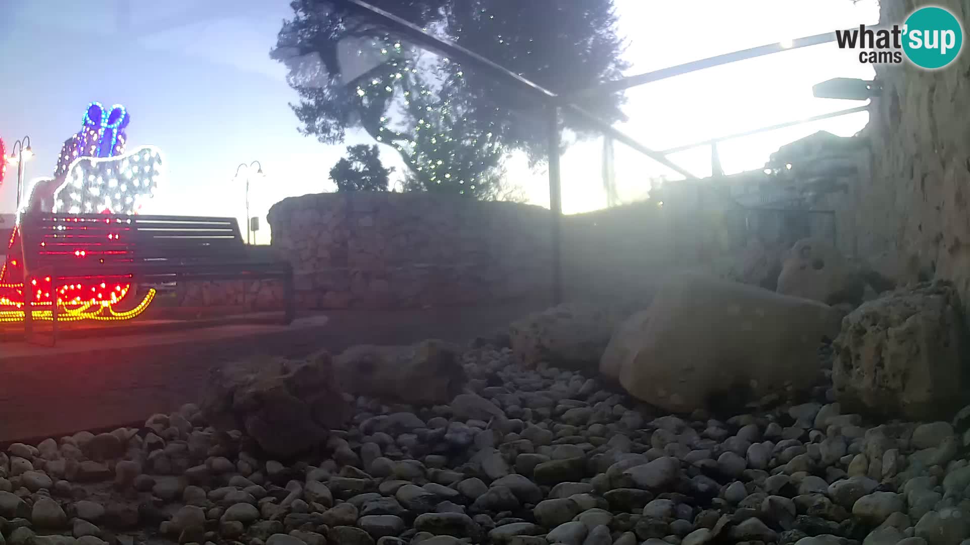 Zunanji morski akvarij Rogoznica spletna kamera Hrvaška