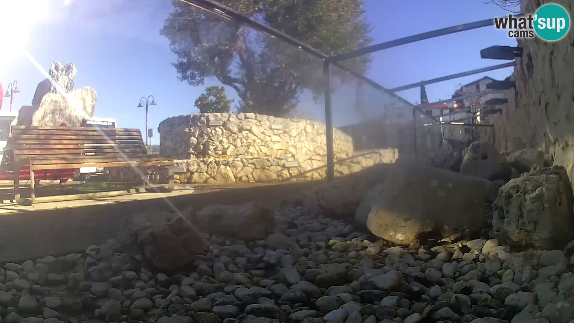 Zunanji morski akvarij Rogoznica spletna kamera Hrvaška