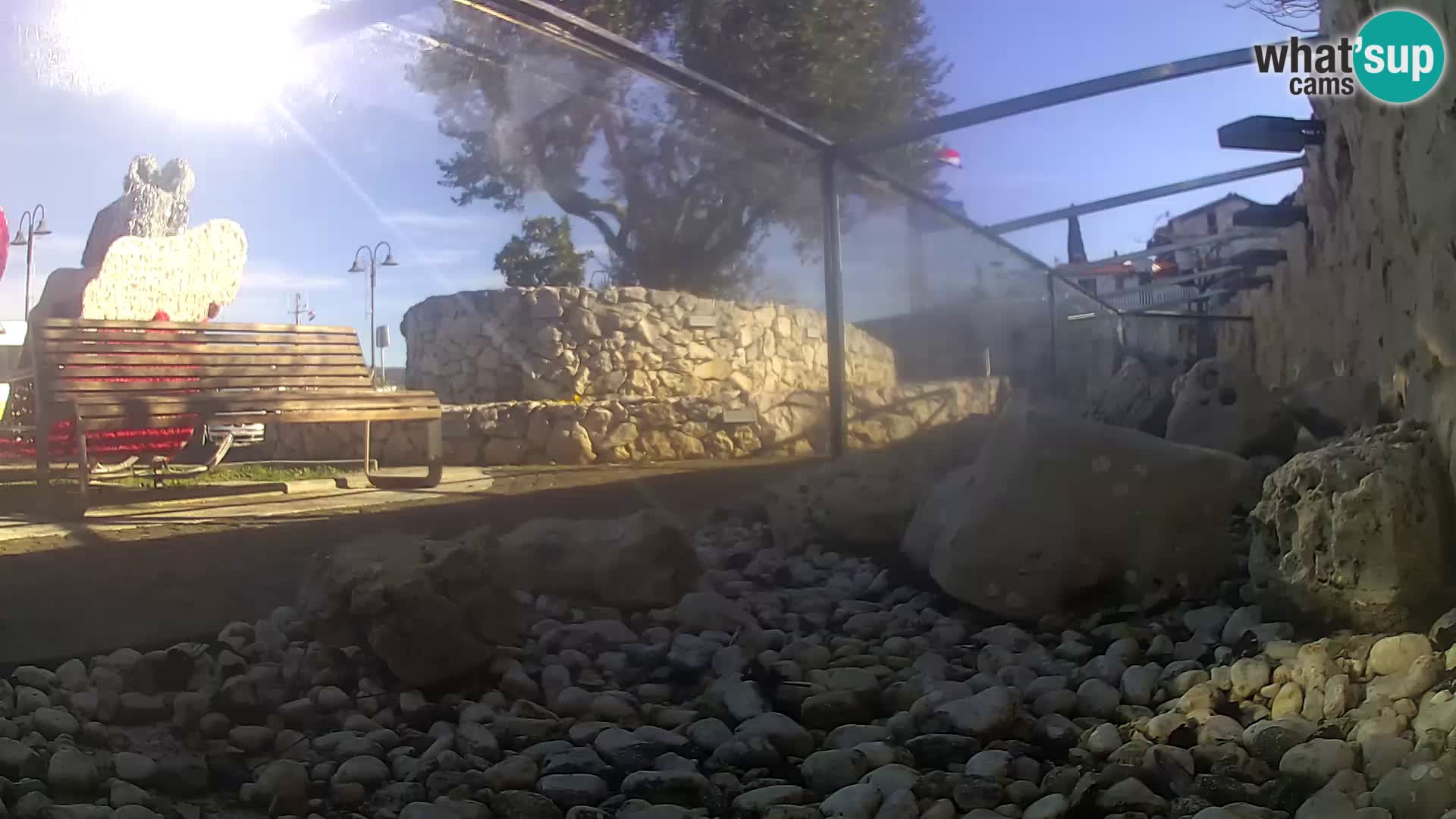 Aquario marino esterno –  Rogoznica livecam Croazia