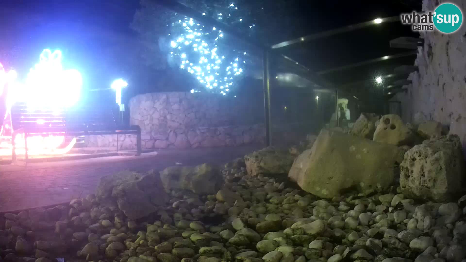 Vanjski morski akvarij Rogoznica web kamera Hrvatska