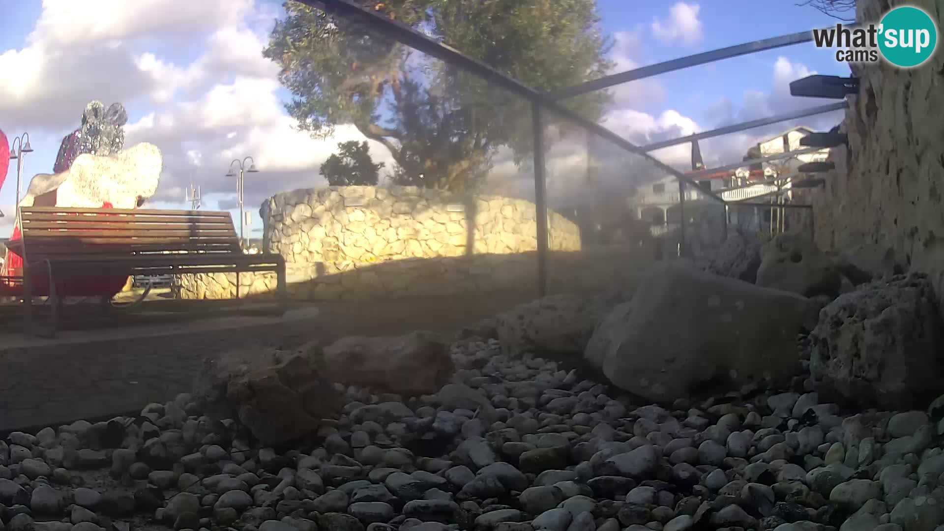 Vanjski morski akvarij Rogoznica web kamera Hrvatska