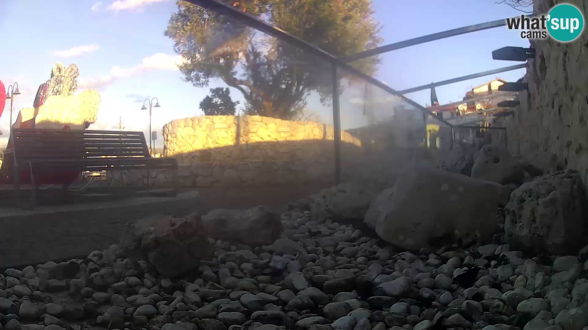 Vanjski morski akvarij Rogoznica web kamera Hrvatska