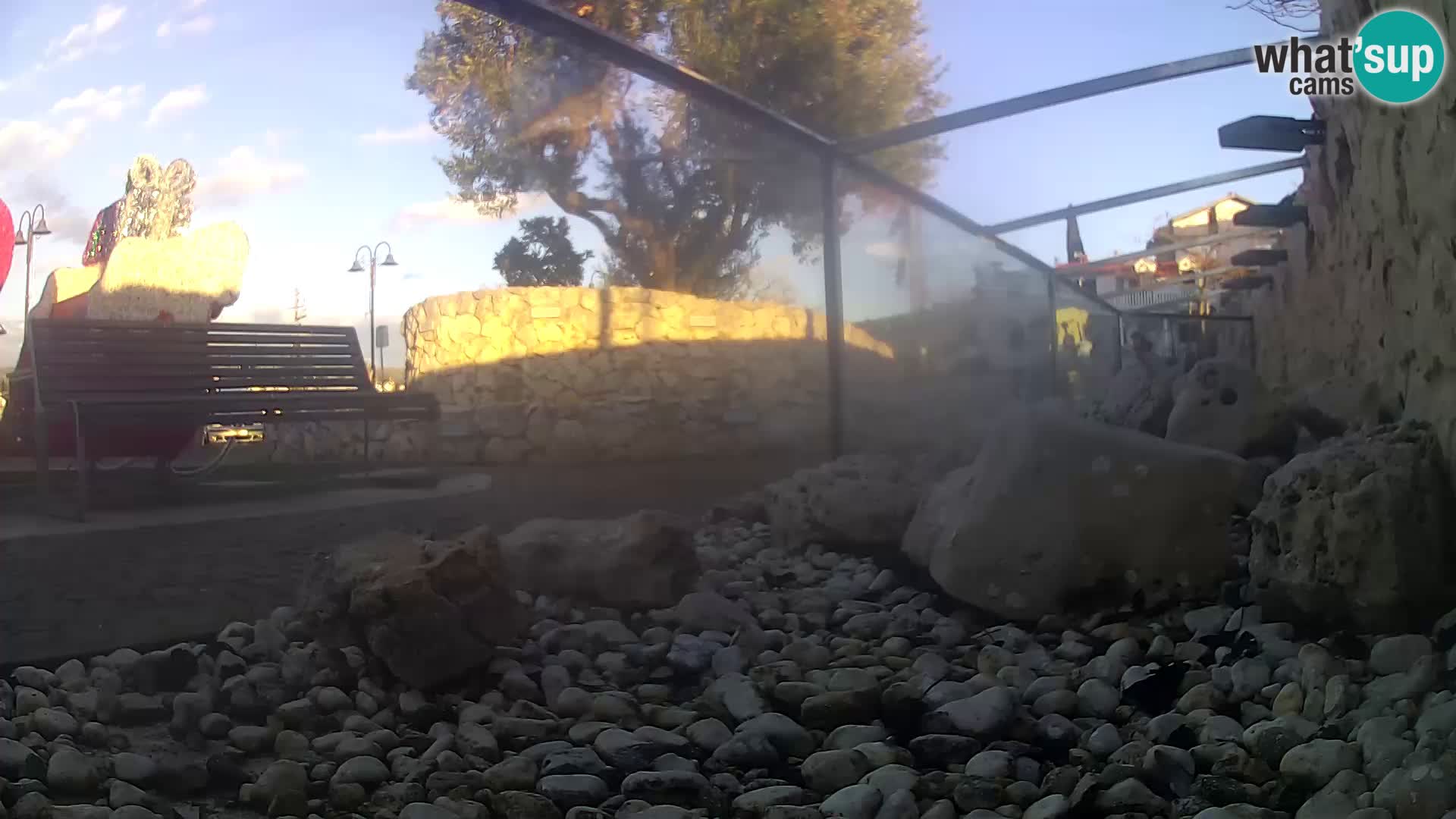 Marine Aquarium im Freien Rogoznica webcam Kroatien