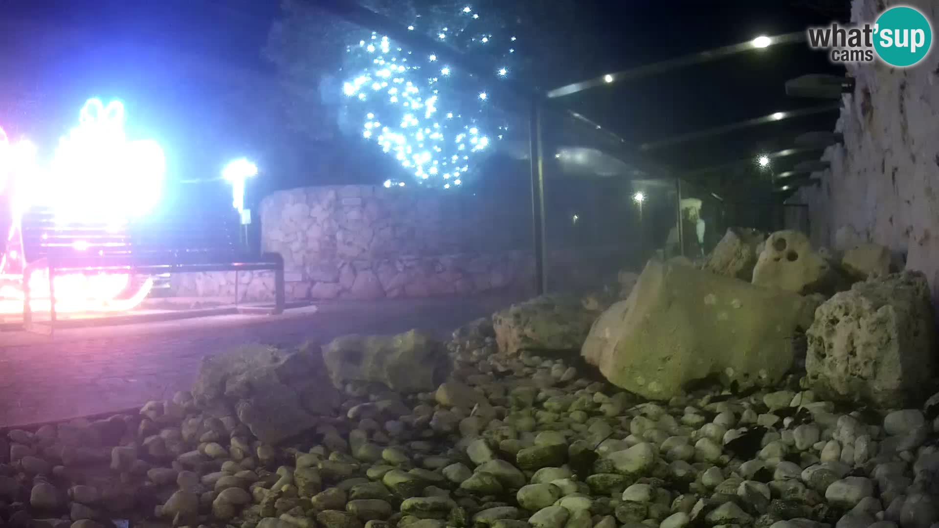 Vanjski morski akvarij Rogoznica web kamera Hrvatska