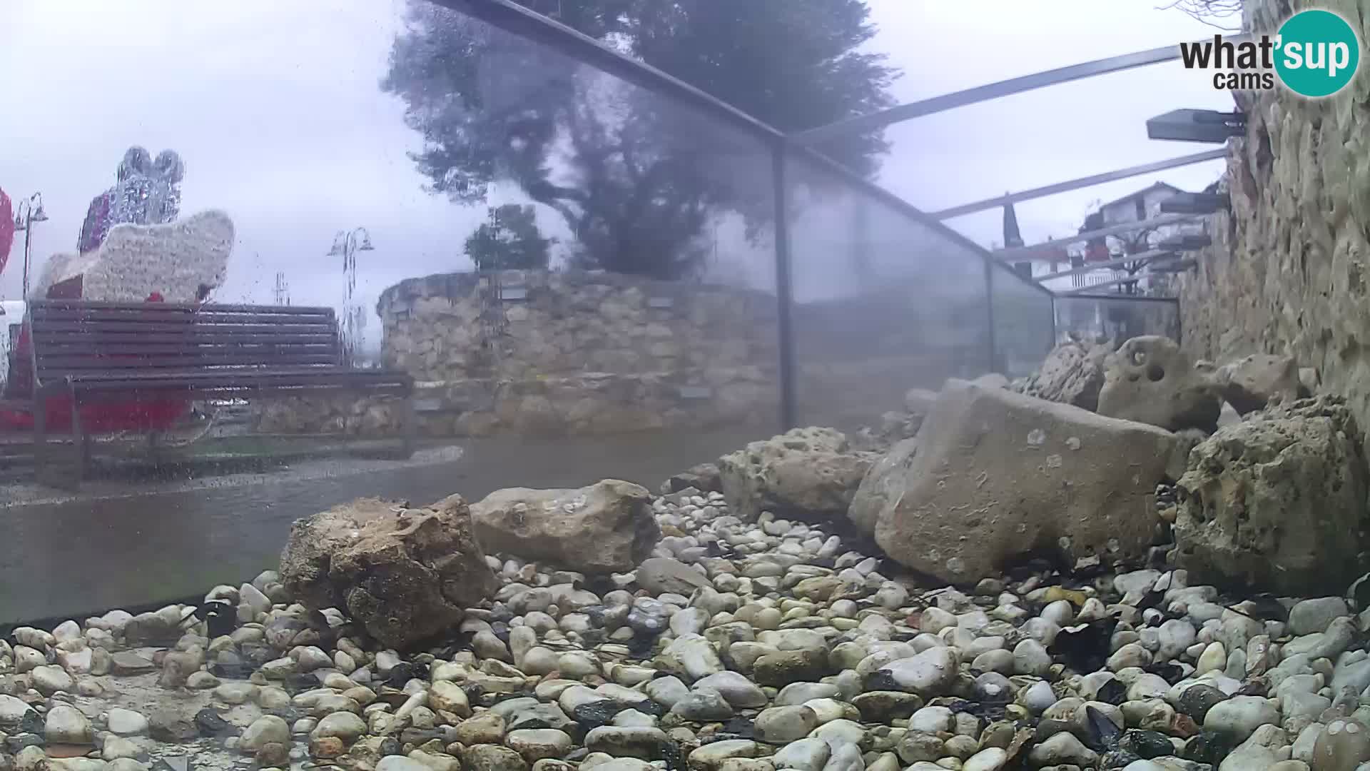 Unterwasserkamera Brijuni – Čamčarnica