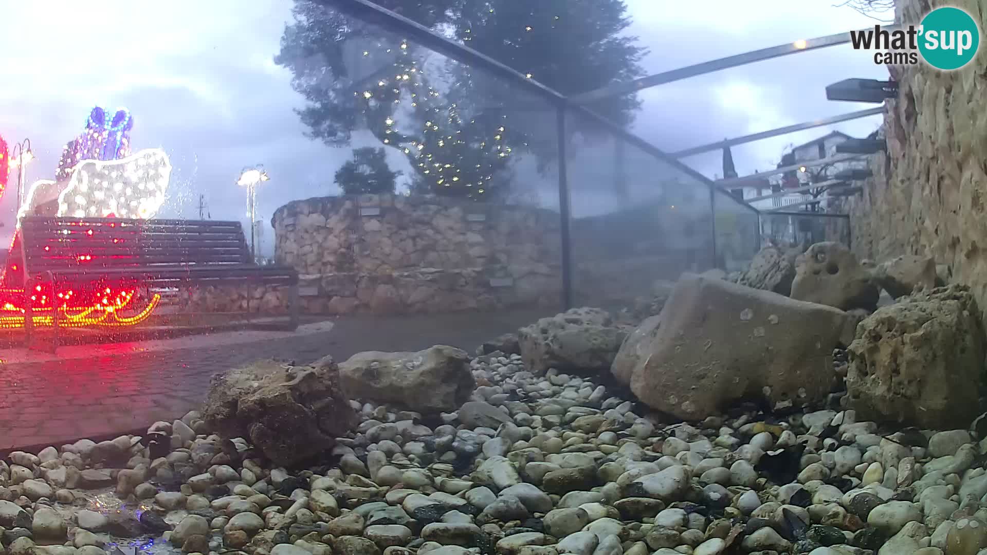 Aquario marino esterno –  Rogoznica livecam Croazia