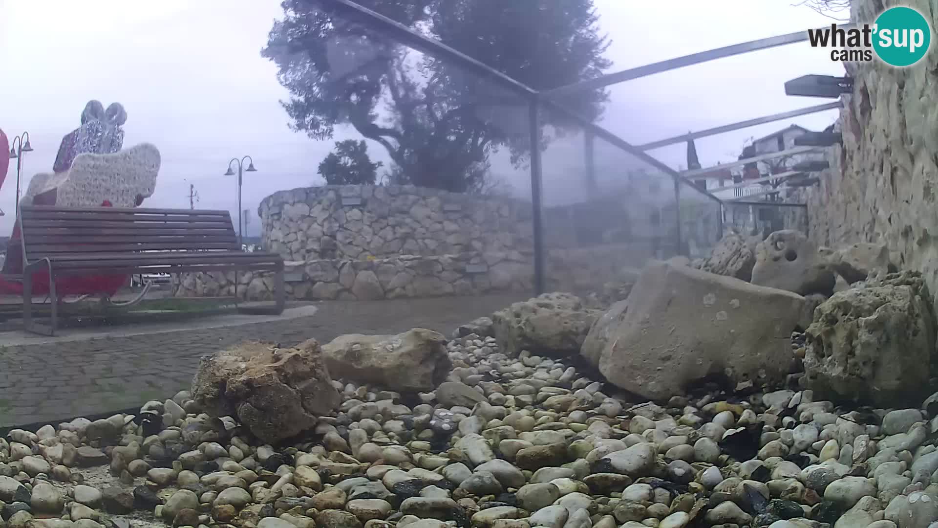 Aquario marino esterno –  Rogoznica livecam Croazia