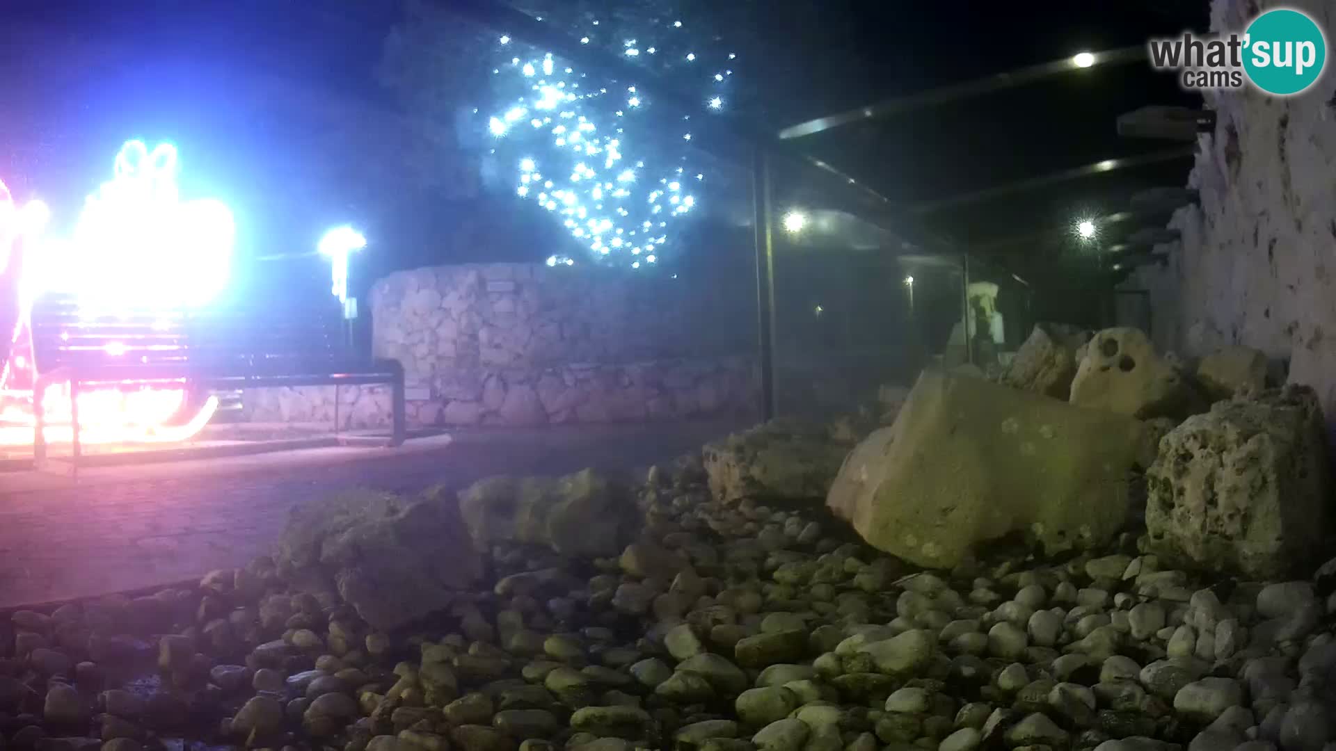 Vanjski morski akvarij Rogoznica web kamera Hrvatska