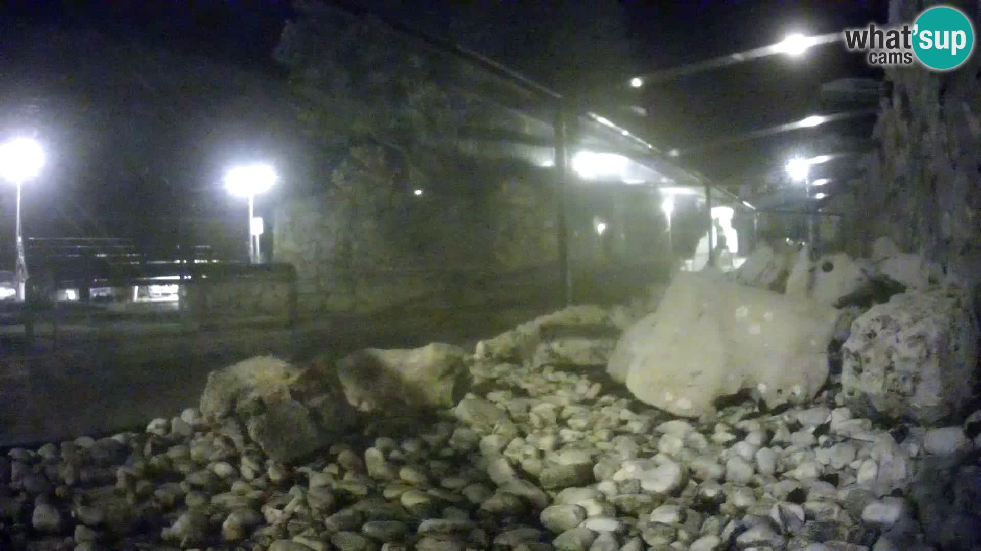 Vanjski morski akvarij Rogoznica web kamera Hrvatska