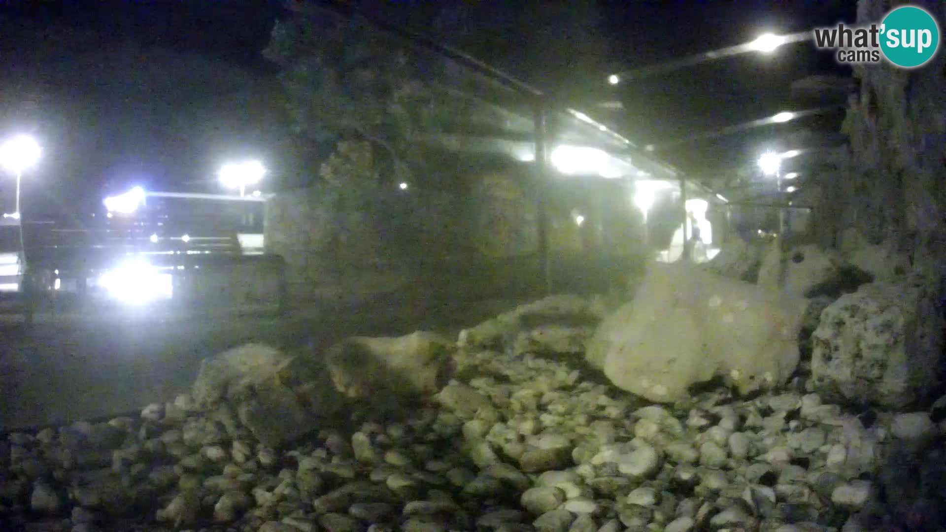 Zunanji morski akvarij Rogoznica spletna kamera Hrvaška