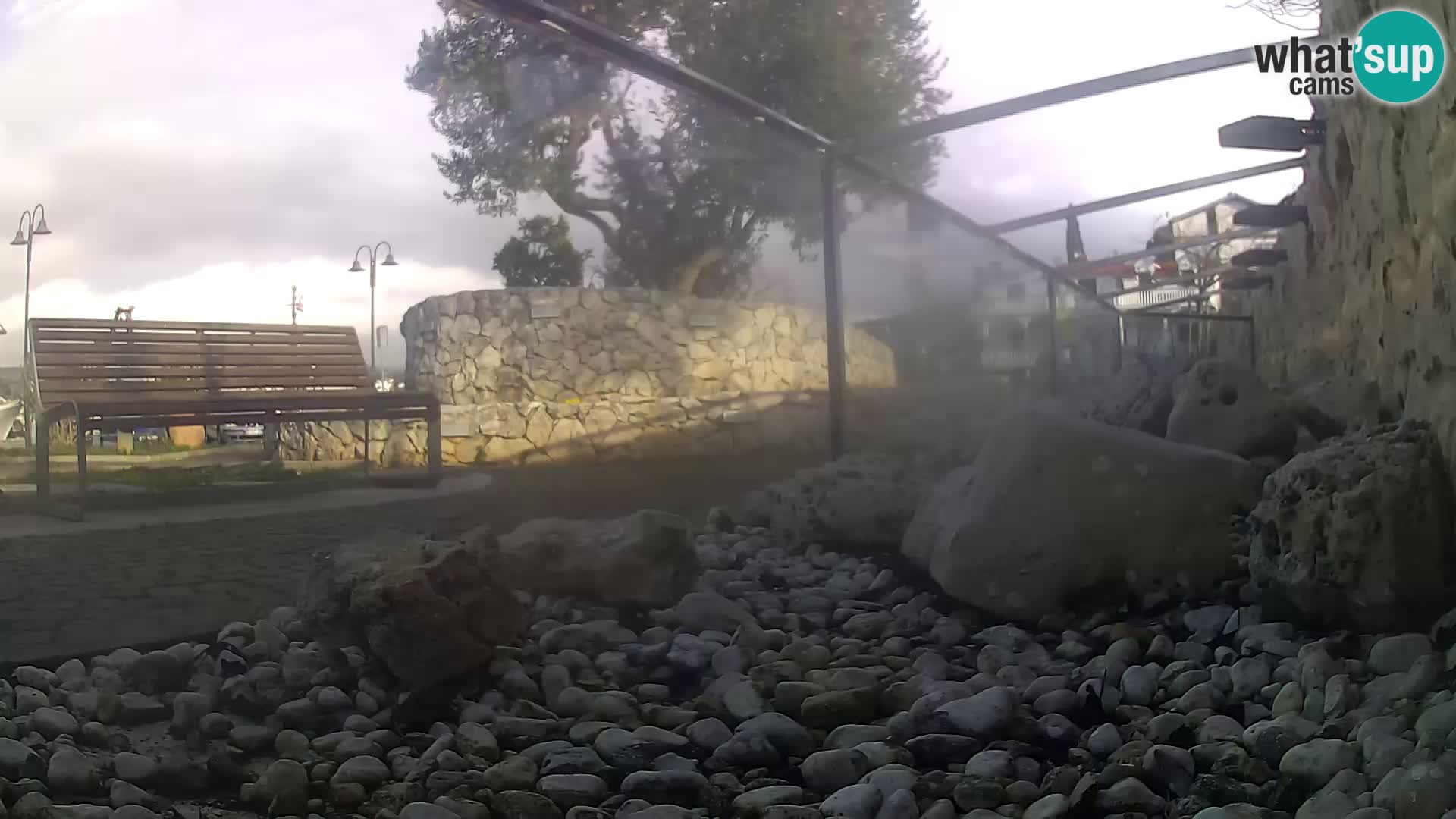 Zunanji morski akvarij Rogoznica spletna kamera Hrvaška